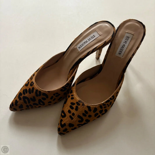 Shoes Heels Kitten By Steve Madden In Animal Print, Size: 10