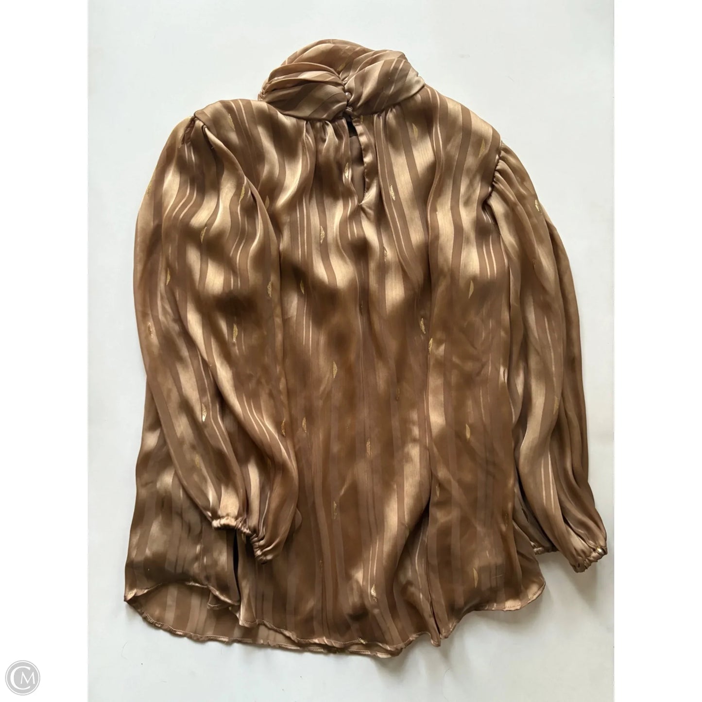 Blouse Long Sleeve By Zac And Rachel In Gold, Size: S