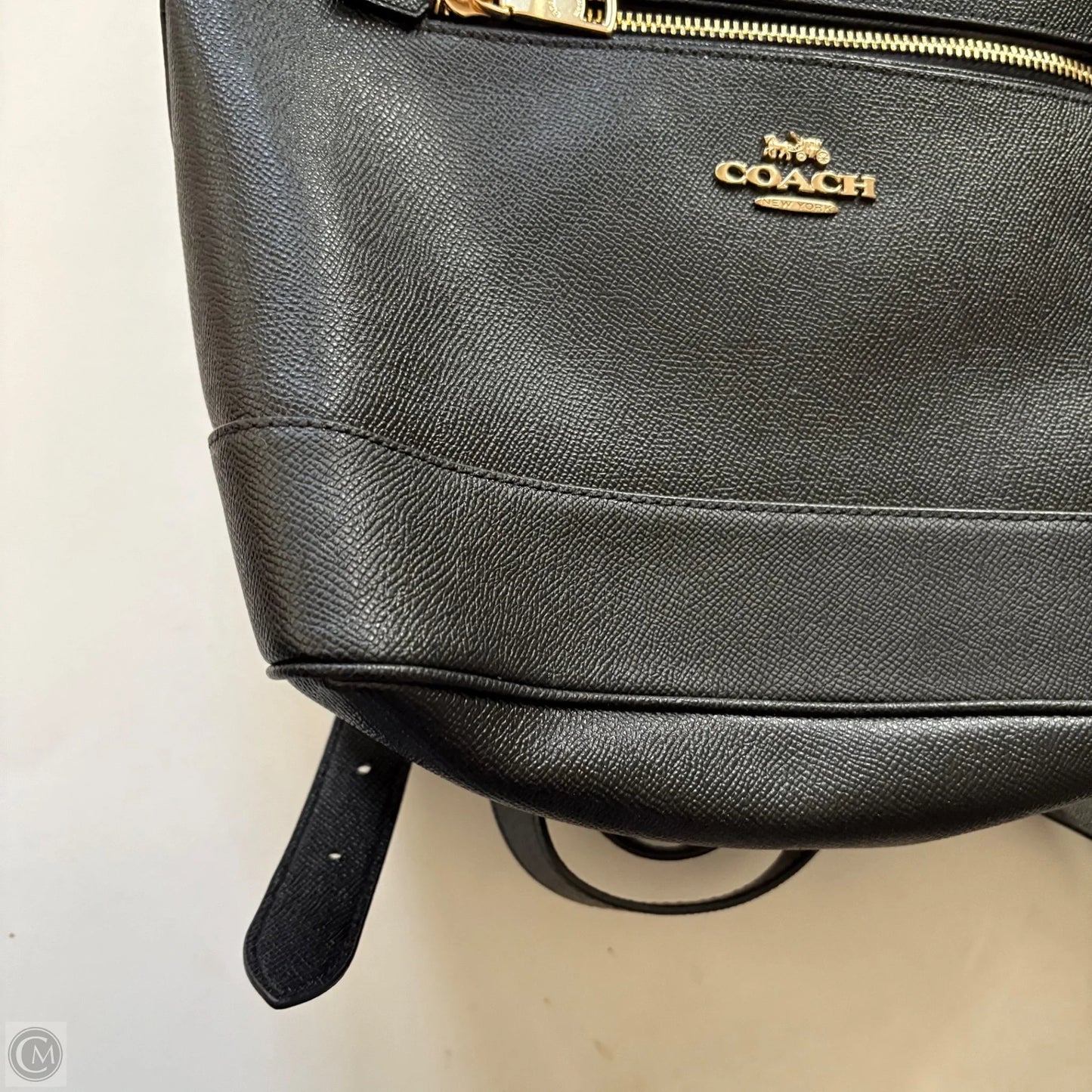 Backpack Designer By Coach, Size: Large