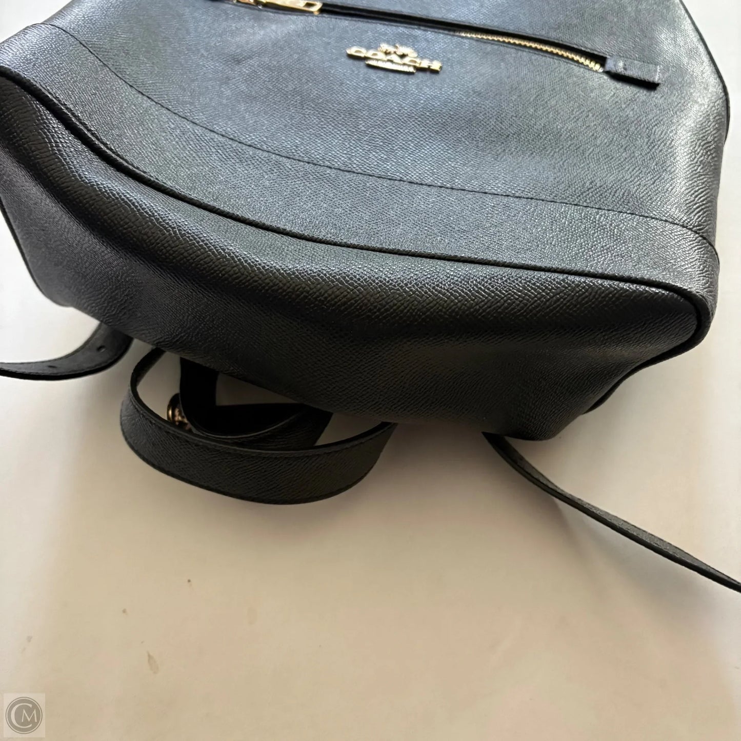 Backpack Designer By Coach, Size: Large