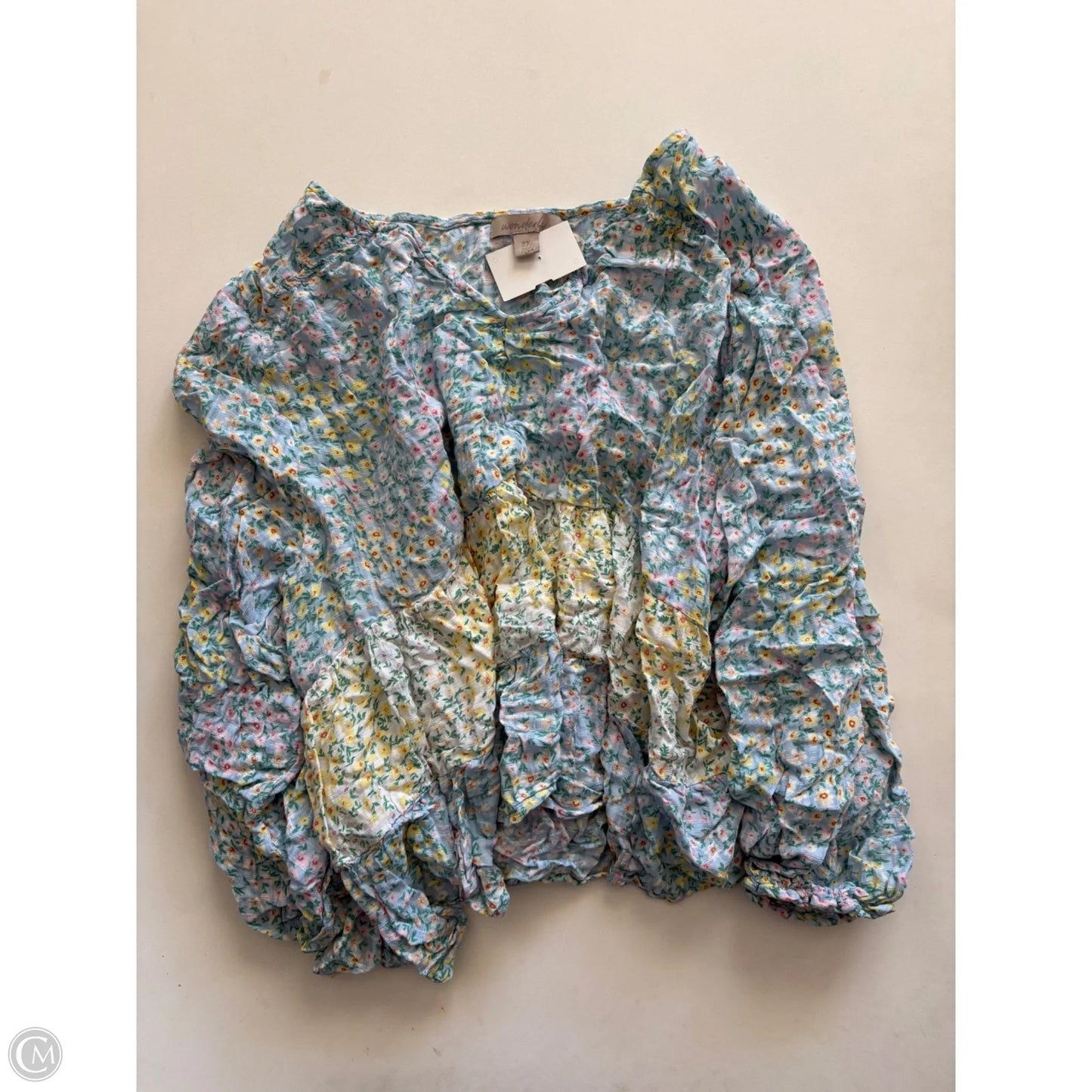 Top Long Sleeve By Wonderly In Floral Print, Size: 2x