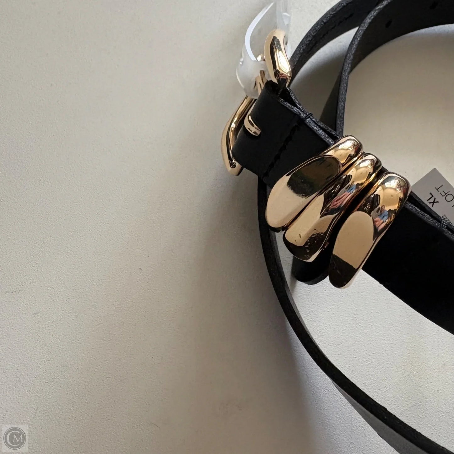 Belt By Loft, Size: Xlarge