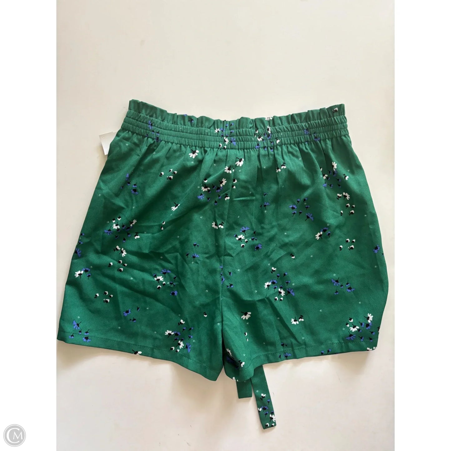 Shorts By Dr2 In Green, Size: M