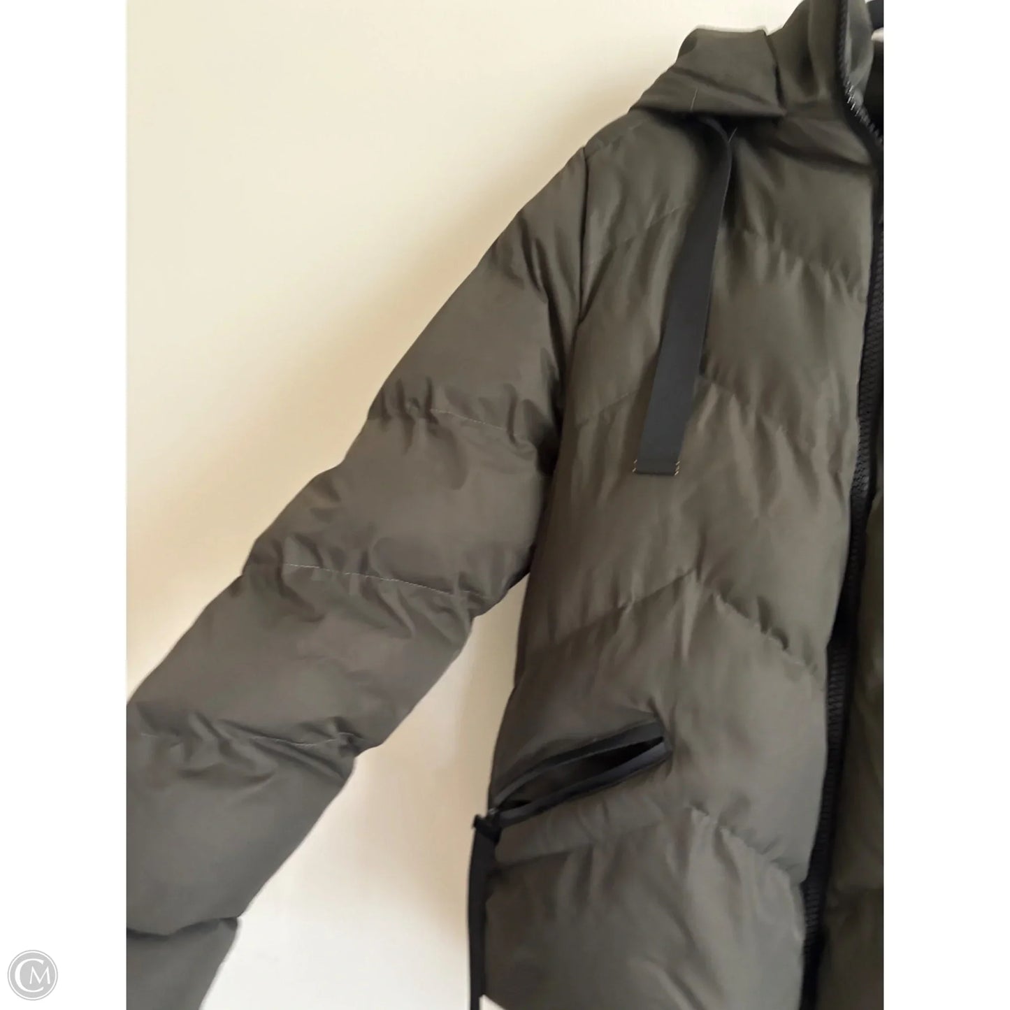 Jacket Puffer & Quilted By Saint & Sinner In Green, Size: L