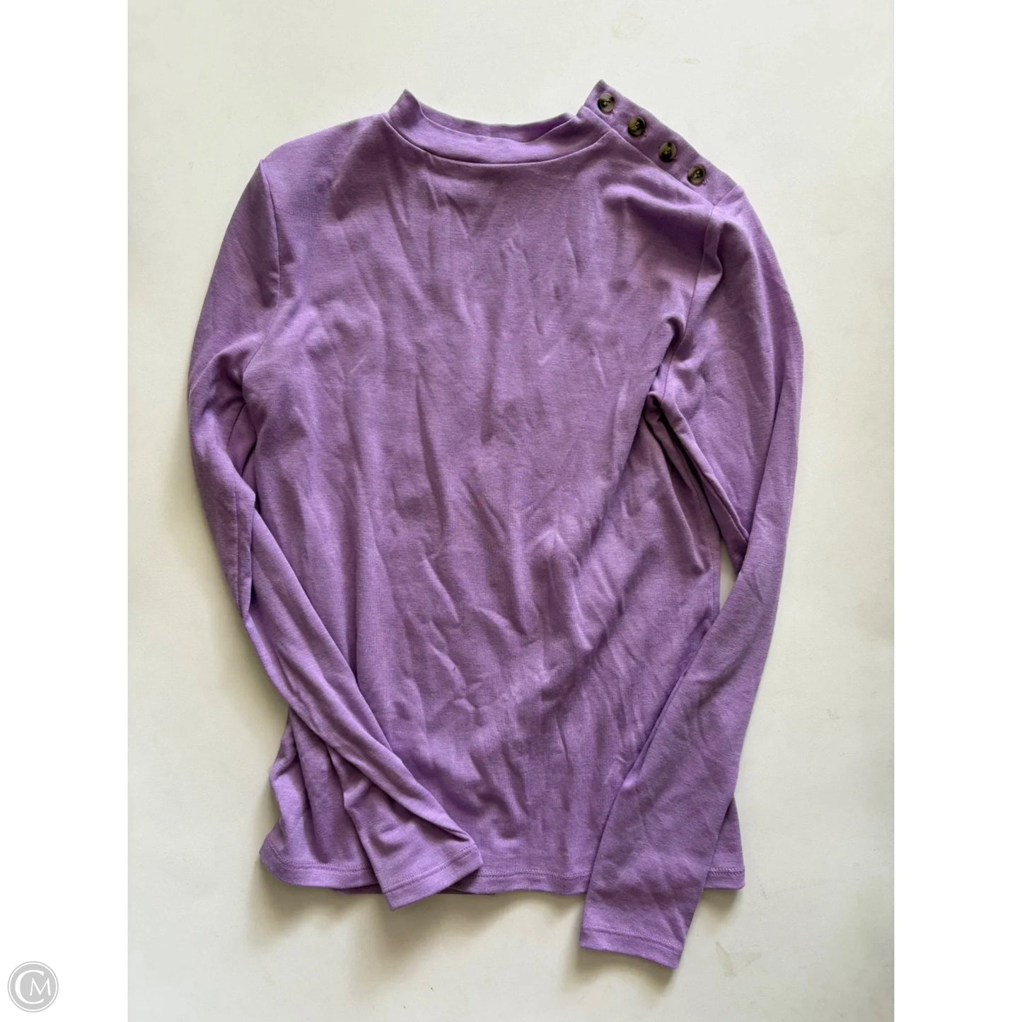 Top Long Sleeve By Ann Taylor In Purple, Size: S
