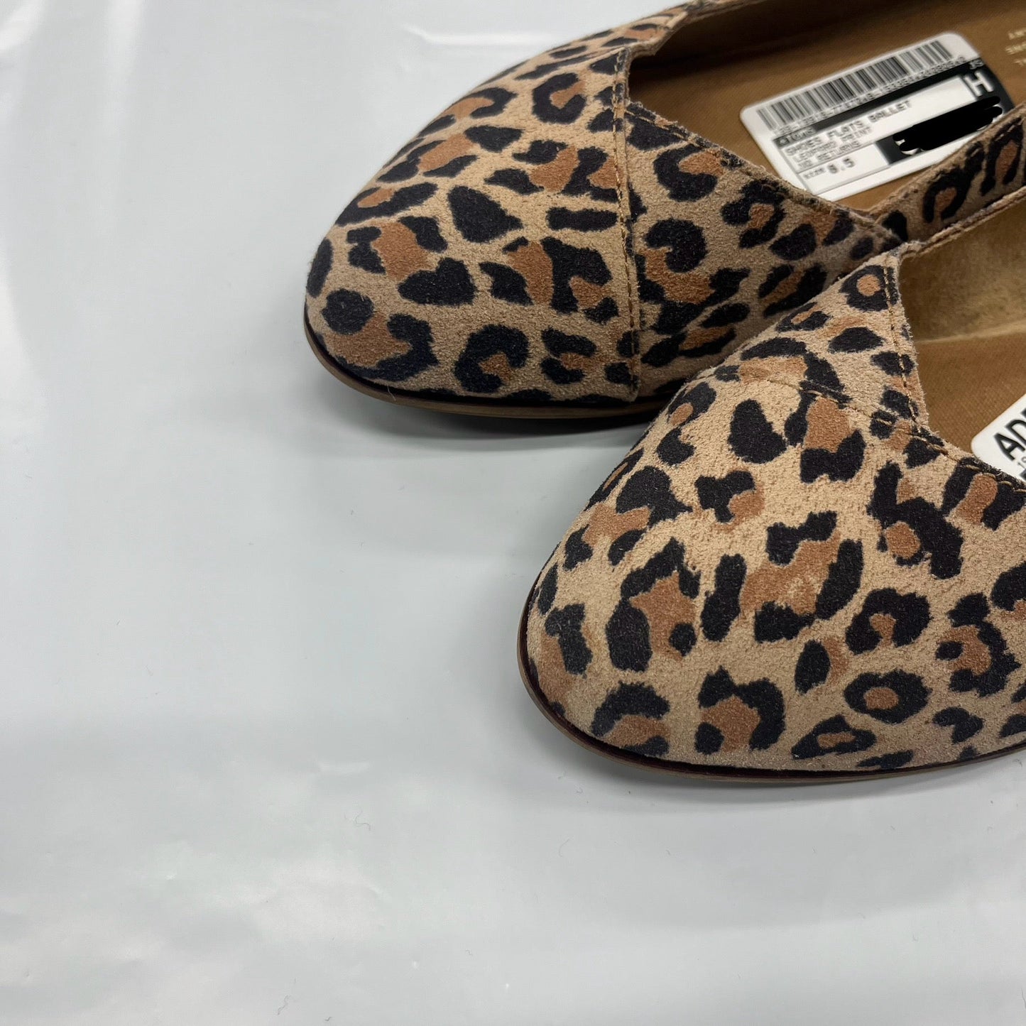 Shoes Flats Ballet By Toms In Leopard Print, Size: 8.5