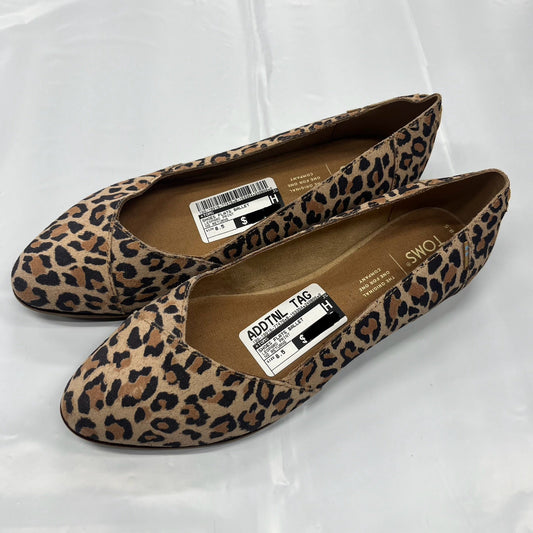 Shoes Flats Ballet By Toms In Leopard Print, Size: 8.5