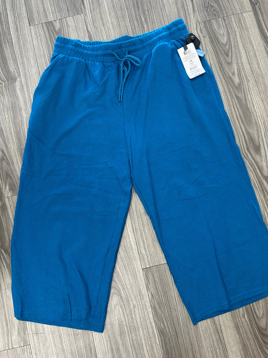 Athletic Pants By Terra & Sky In Blue, Size: Xl