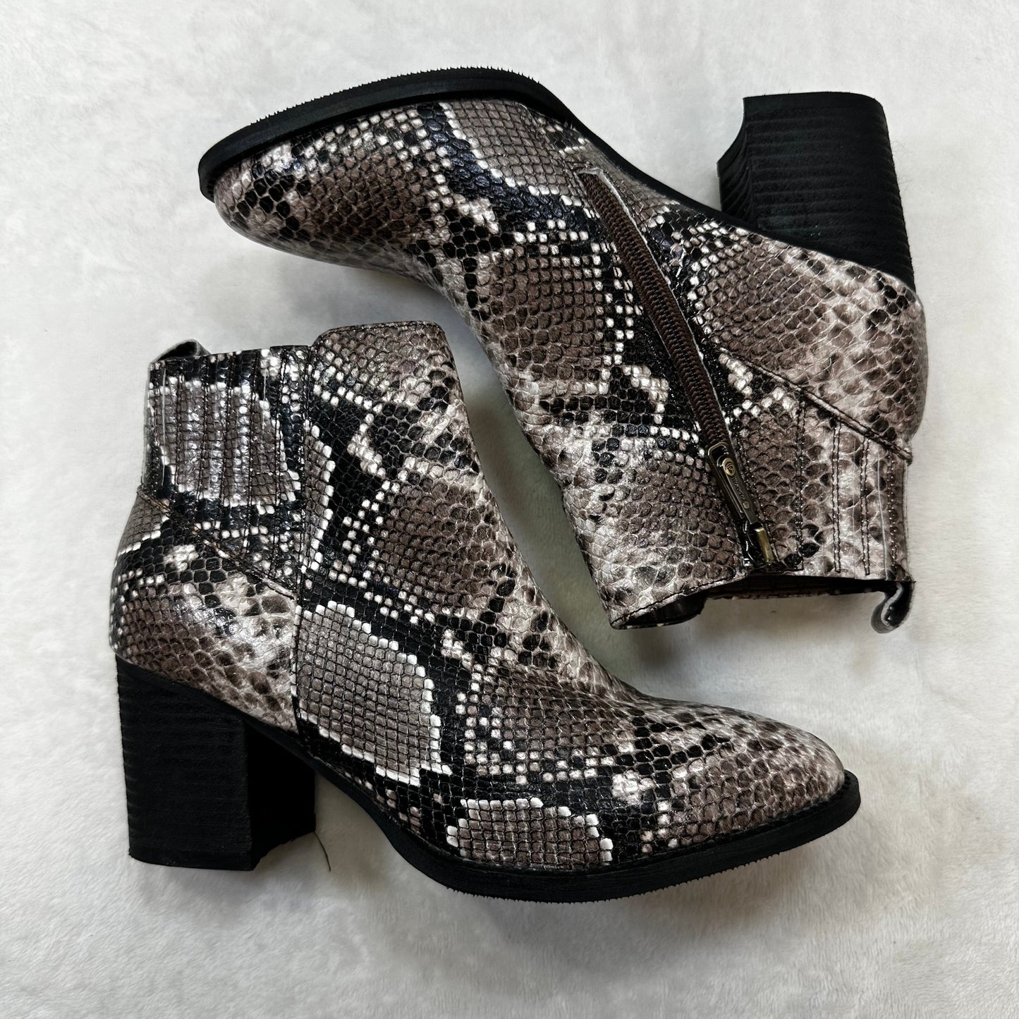 Boots Designer By Blondo In Snakeskin Print, Size: 8