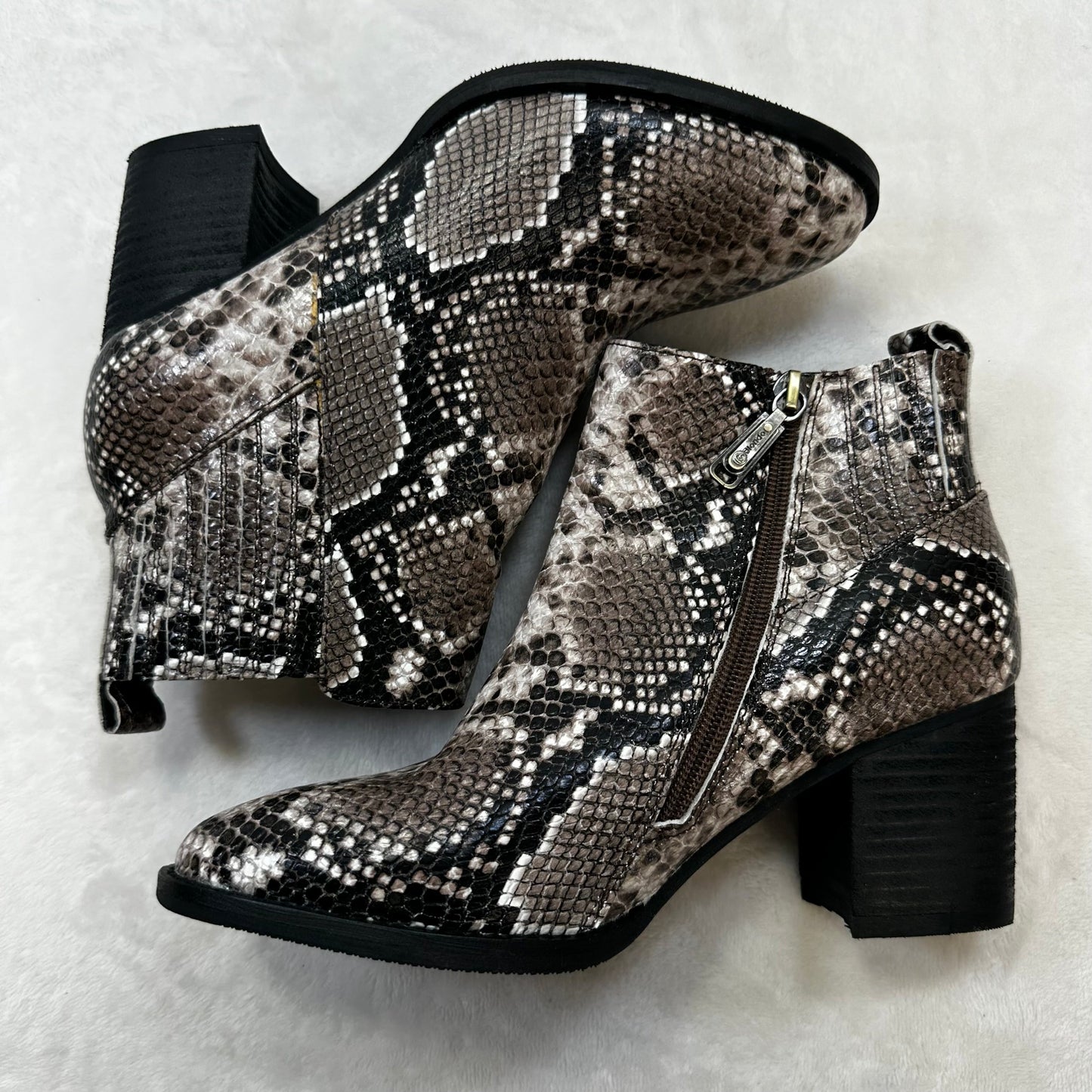 Boots Designer By Blondo In Snakeskin Print, Size: 8