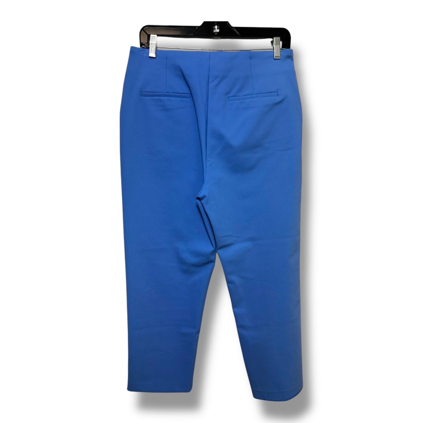 Pants Other By Rachel Zoe In Blue, Size: 8