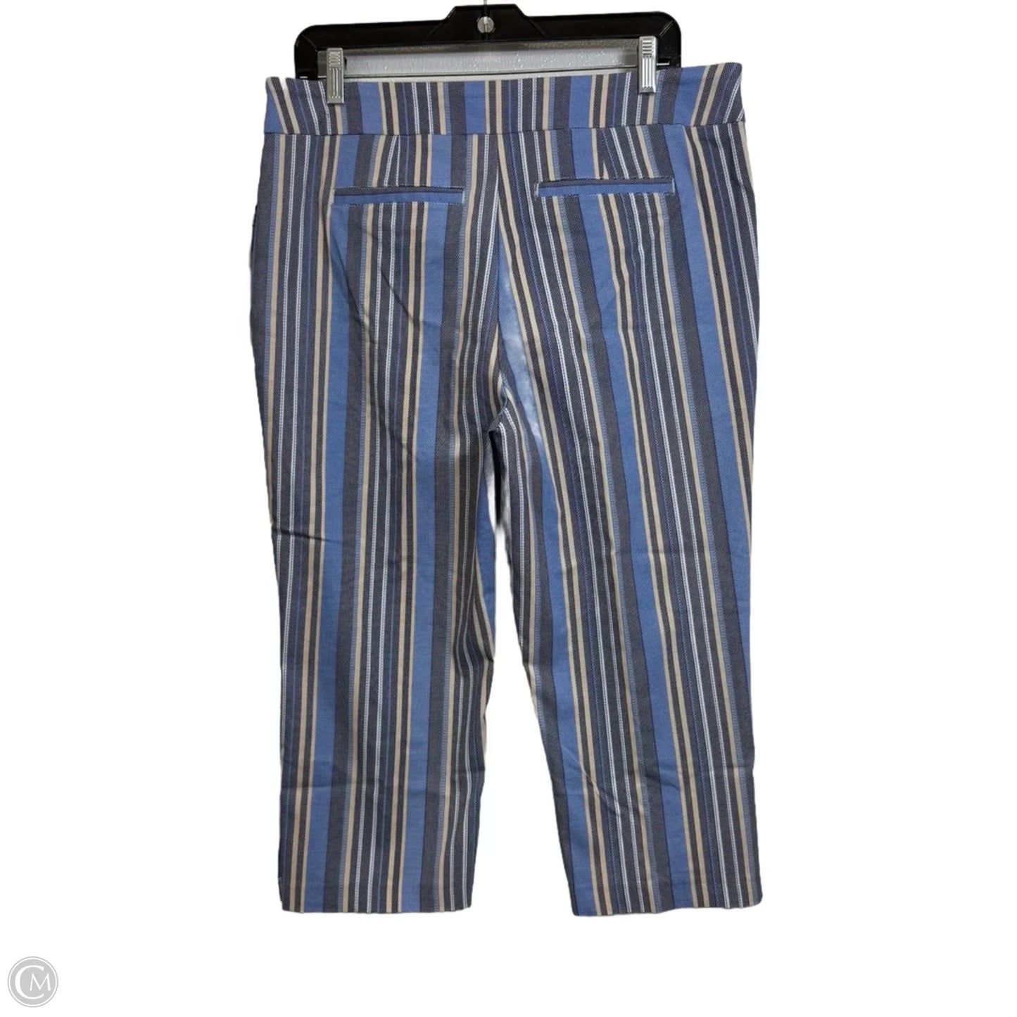 Capris By Tribal In Striped Pattern, Size: 14