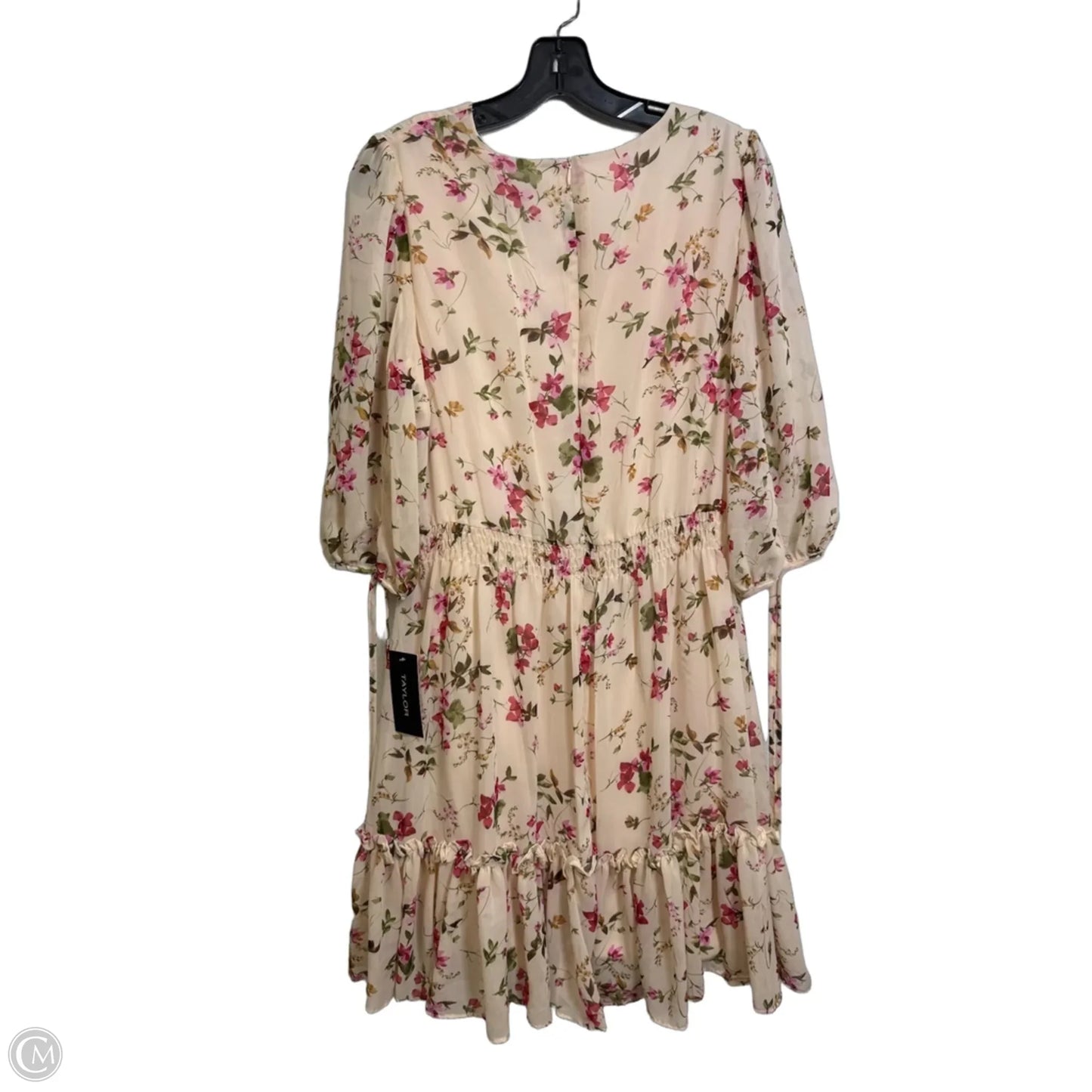 Dress Casual Short By Taylor In Floral Print, Size: Xl