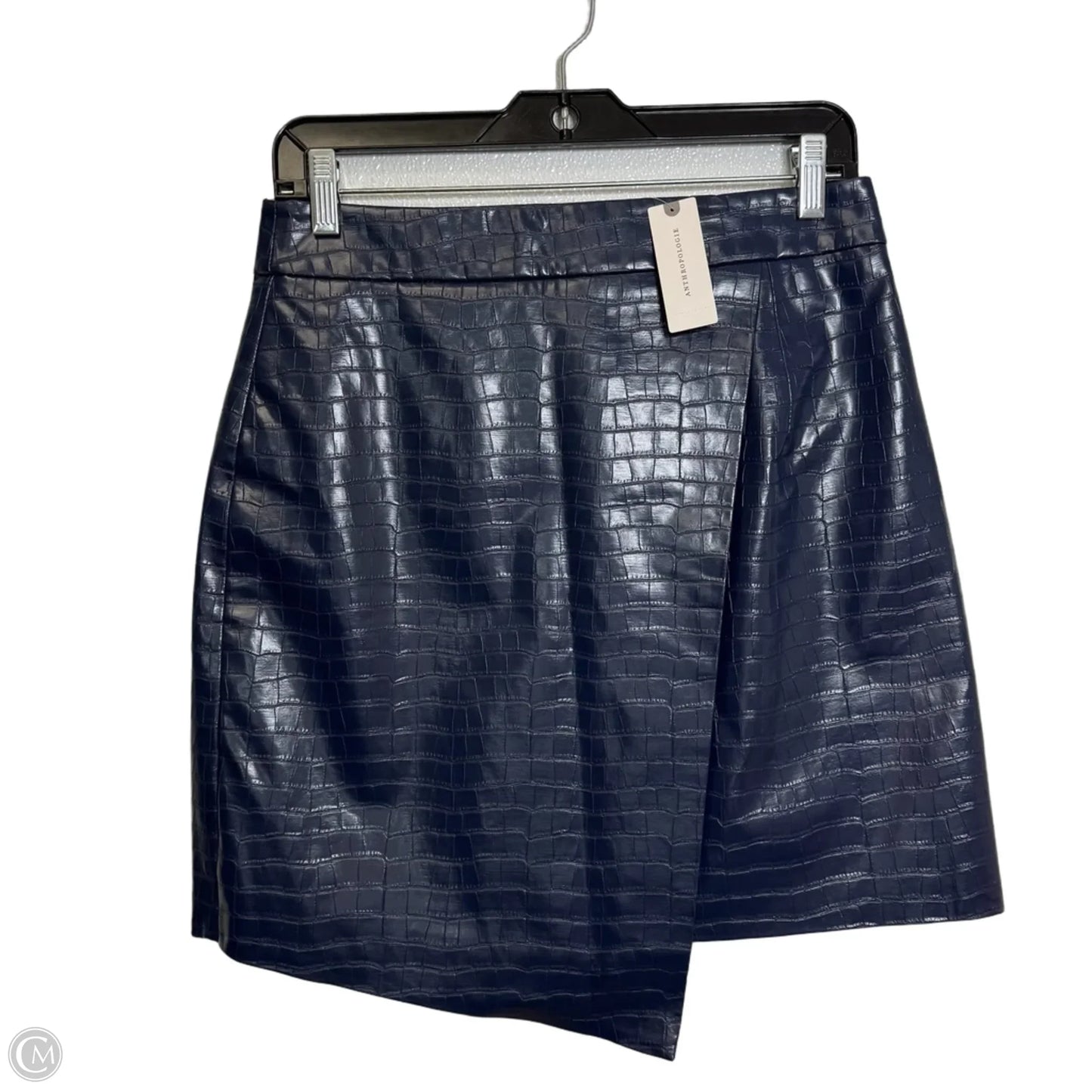 Skirt Mini & Short By Porridge In Blue, Size: M