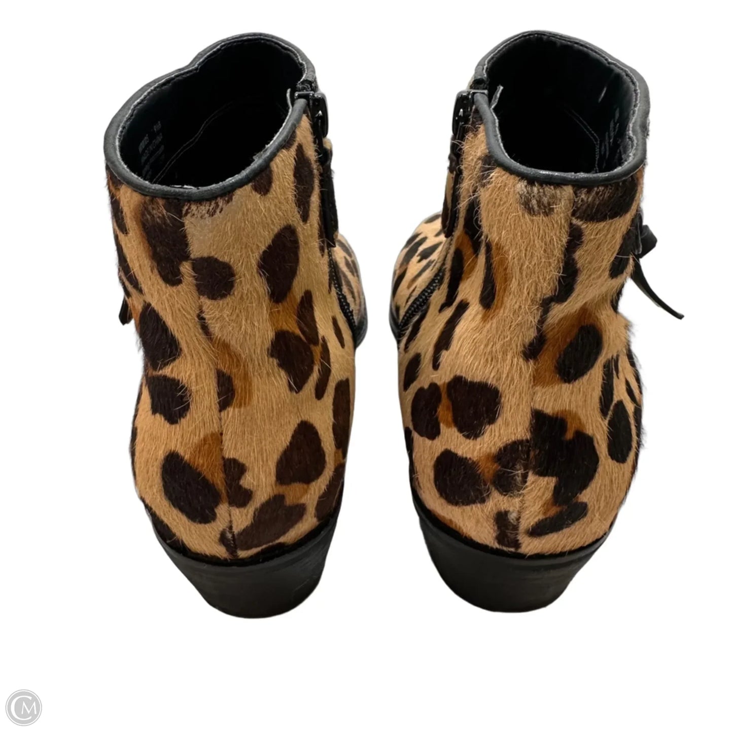 Boots Ankle Heels By Cole-haan In Animal Print, Size: 9.5