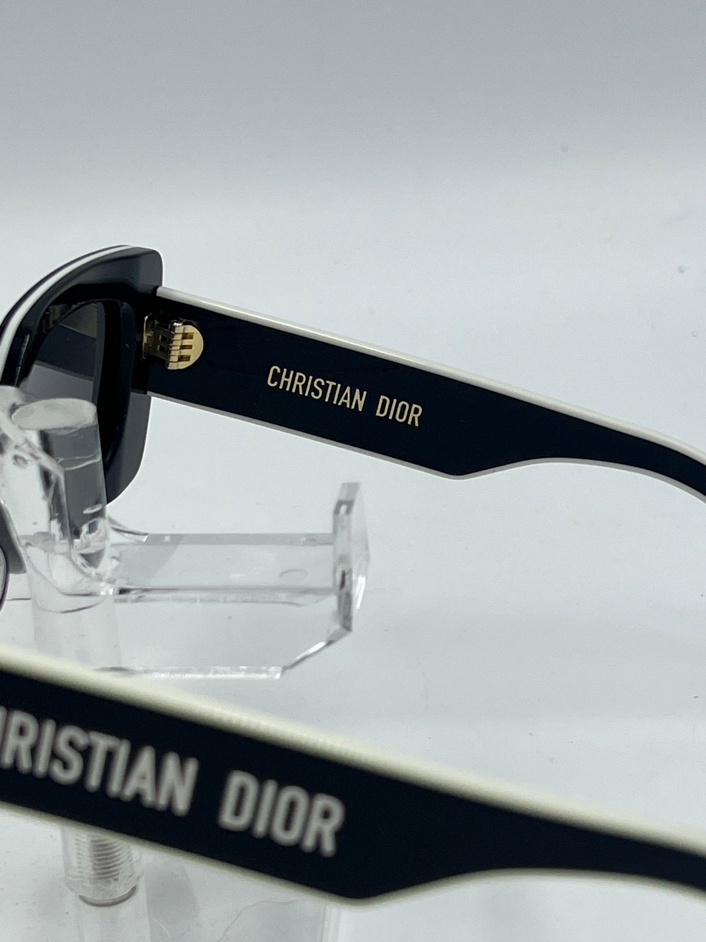Christian Dior Wildior Sunglasses