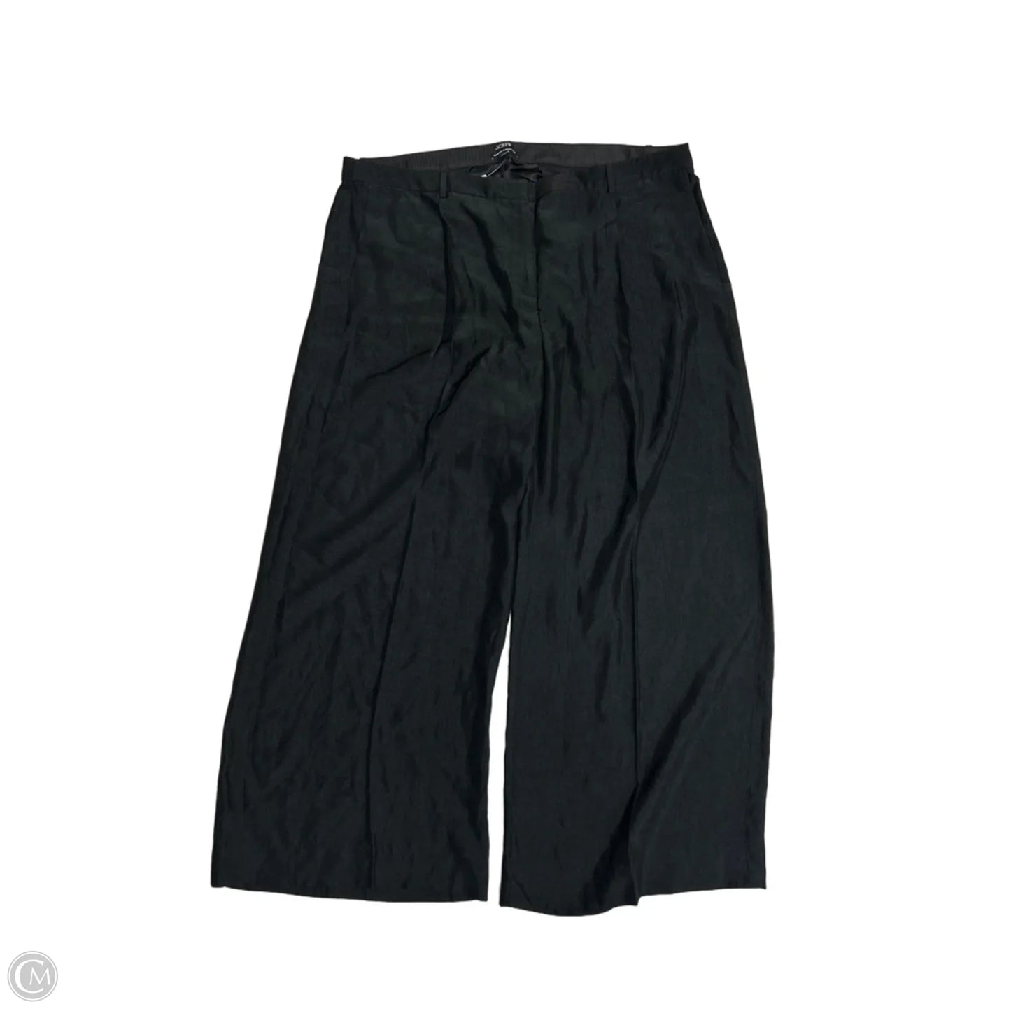 New! Pants Other By J. Crew In Black, Size: 22