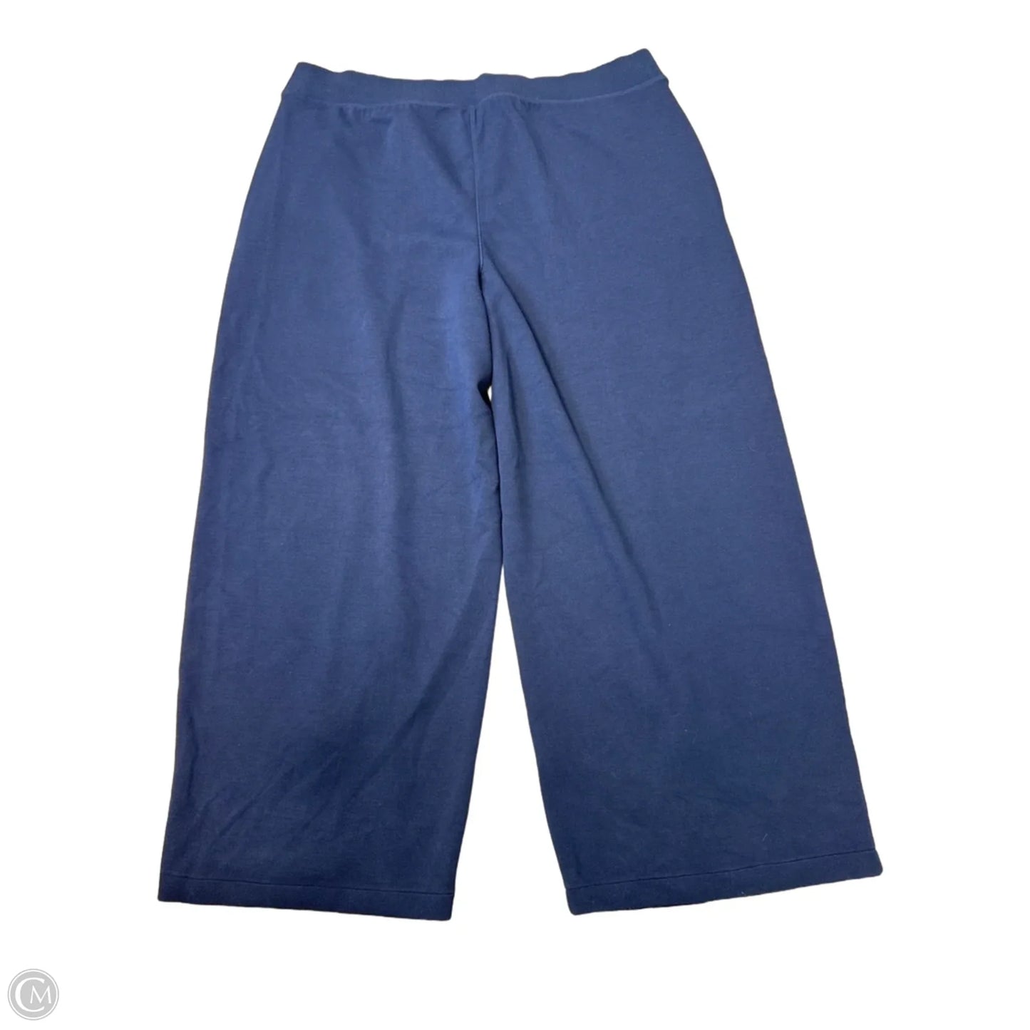 Athletic Pants By Spanx In Navy, Size: 3x