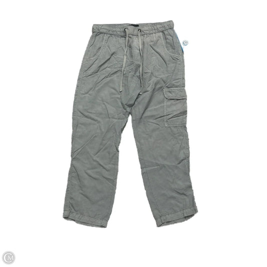 Pants Cargo & Utility By Sanctuary In Grey, Size: S