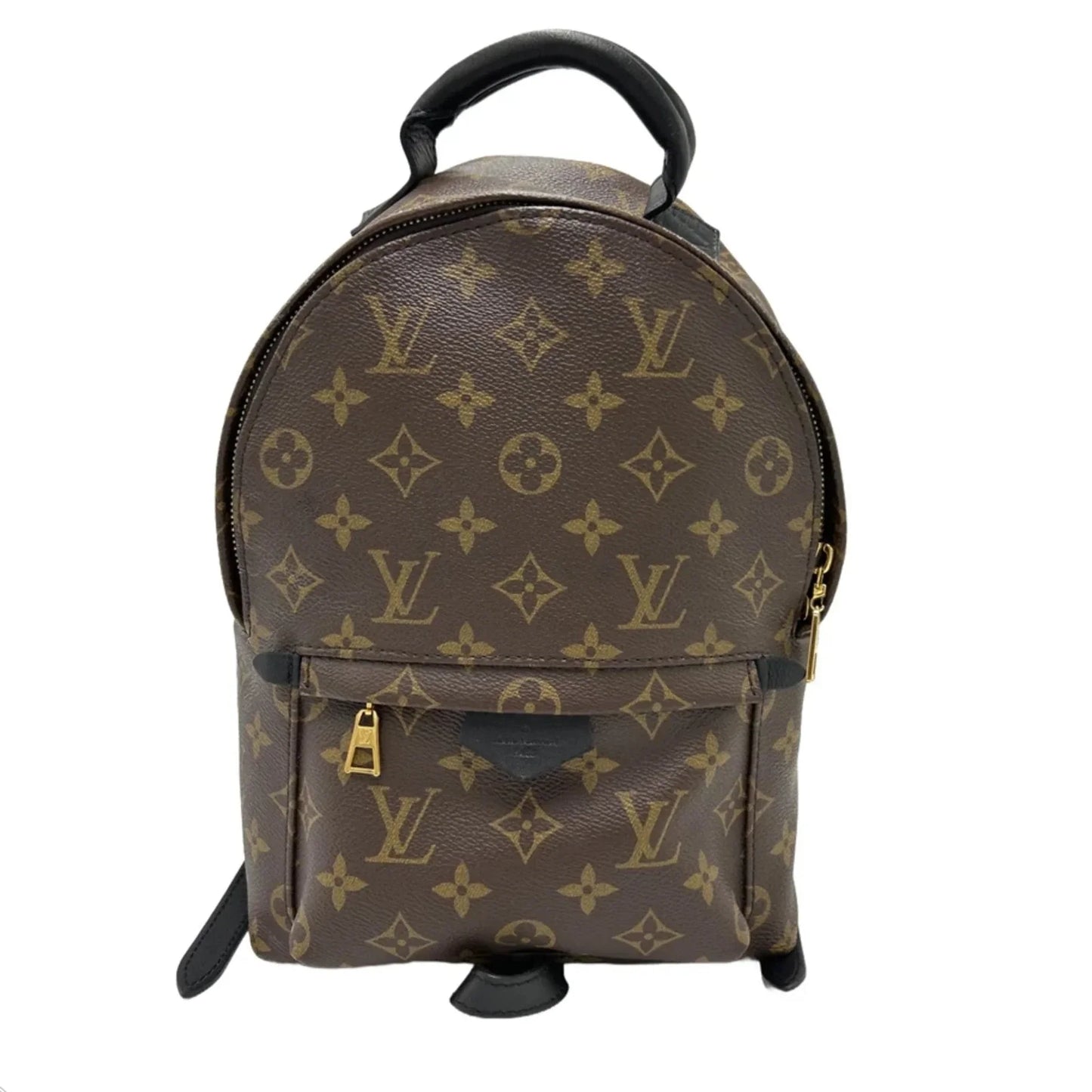 Louis Vuitton Palm Springs Luxury Backpack Handbag