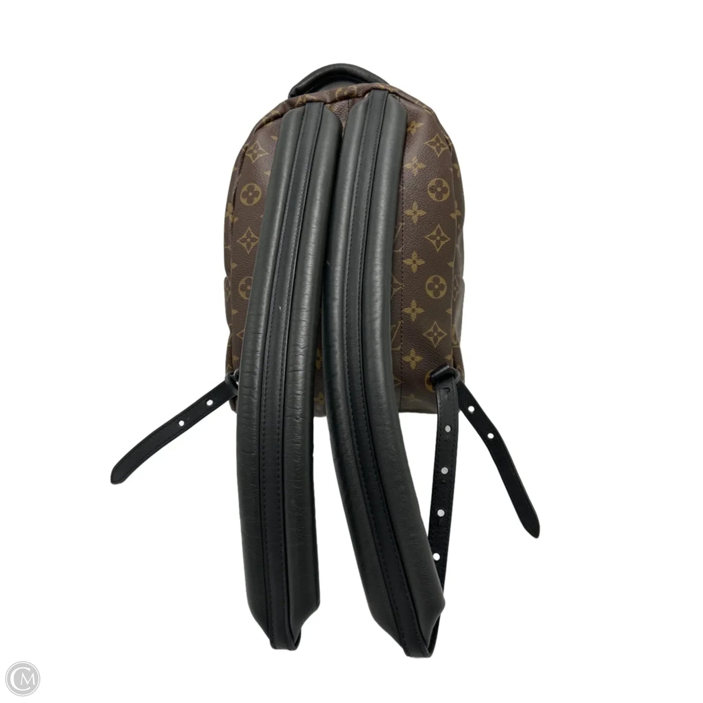 Louis Vuitton Palm Springs Luxury Backpack Handbag