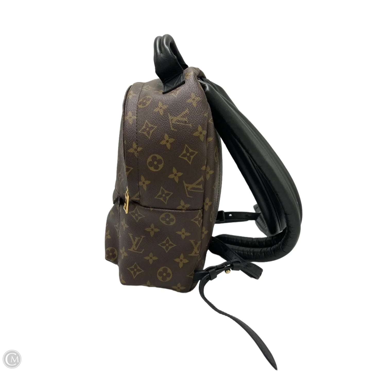 Louis Vuitton Palm Springs Luxury Backpack Handbag