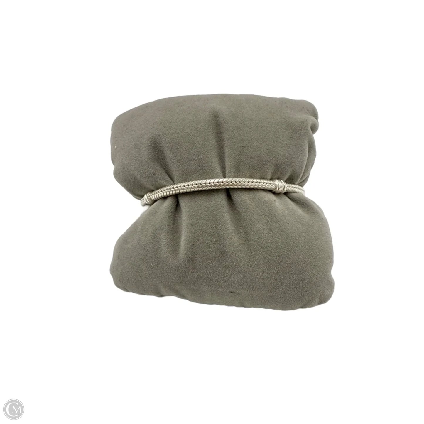 Charm Bracelet By Pandora