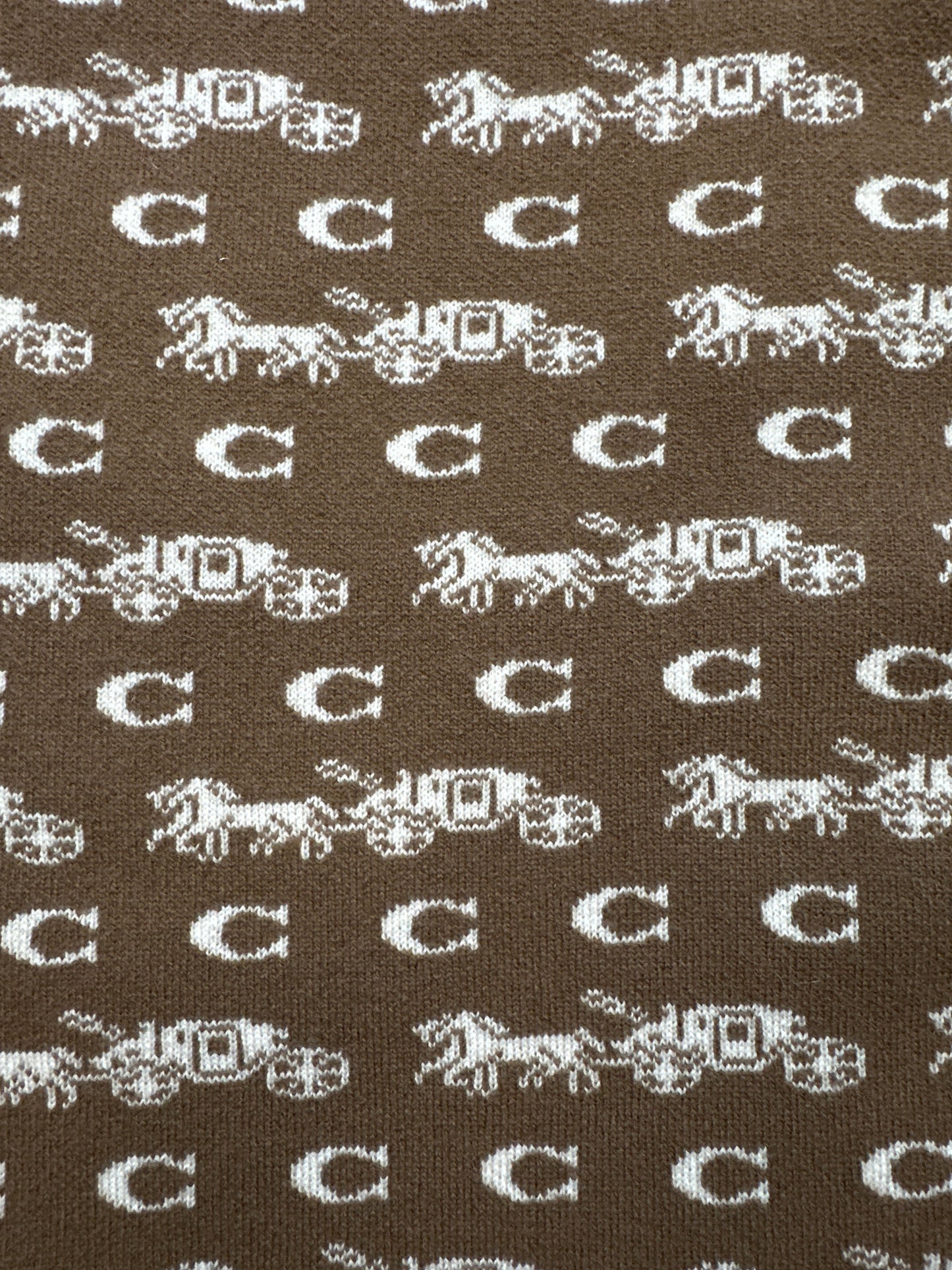 New! Coach Wool Horse and Carriage Designer Scarf