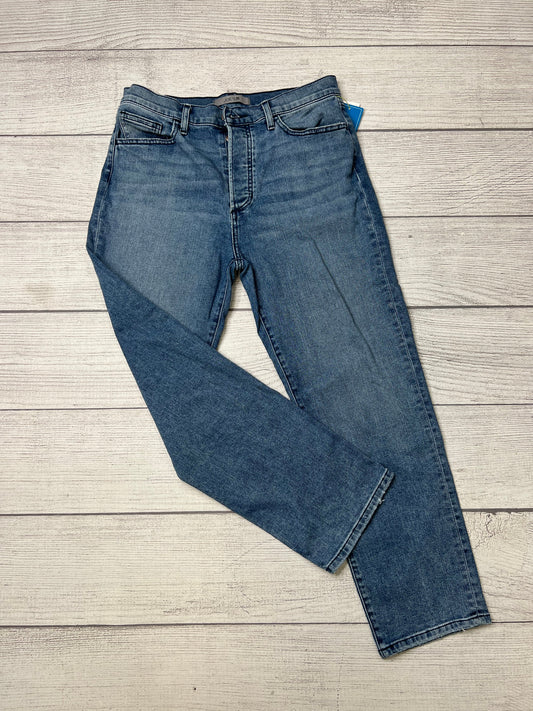 Blue Jeans Designer Joes Jeans, Size 10