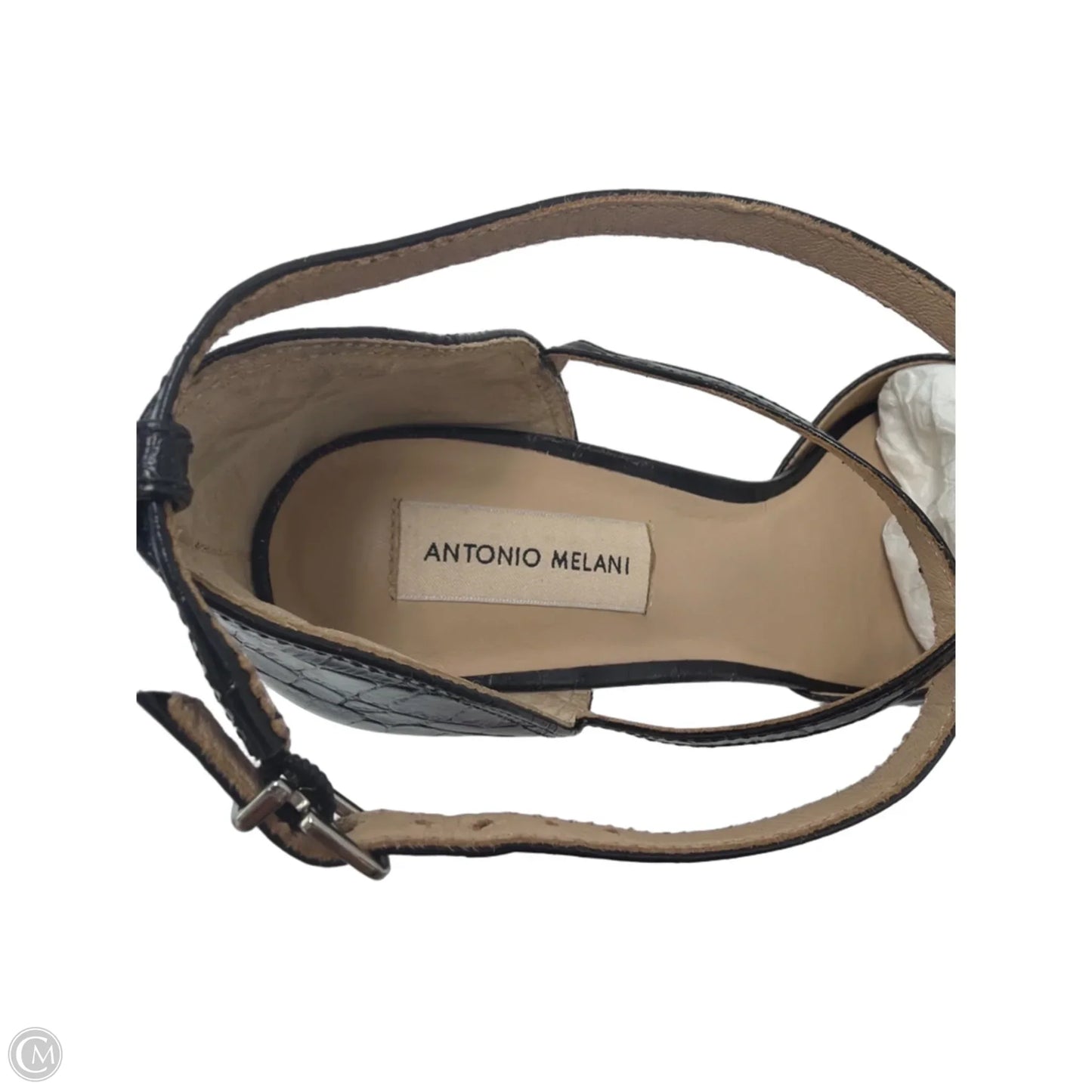 Shoes Heels Block By Antonio Melani In Black, Size: 11