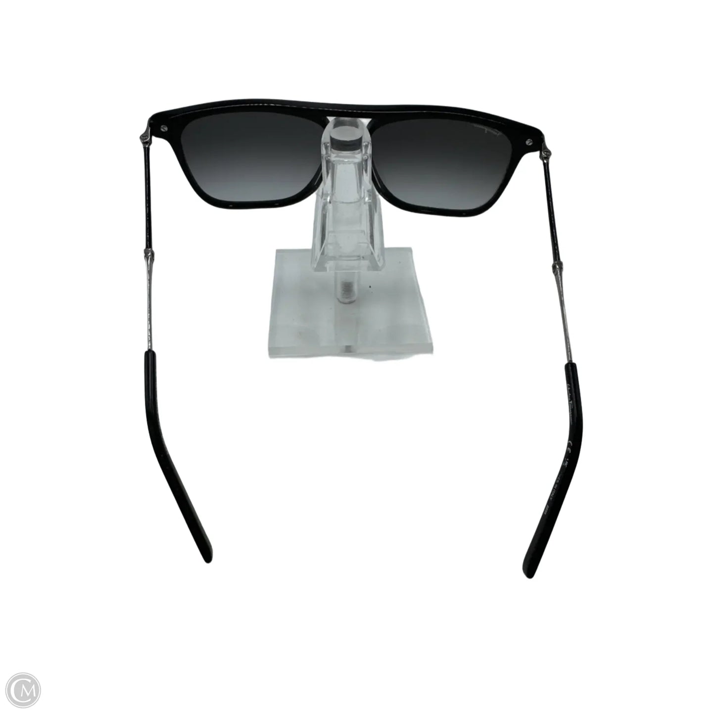 Sunglasses By Salvatore Ferragamo