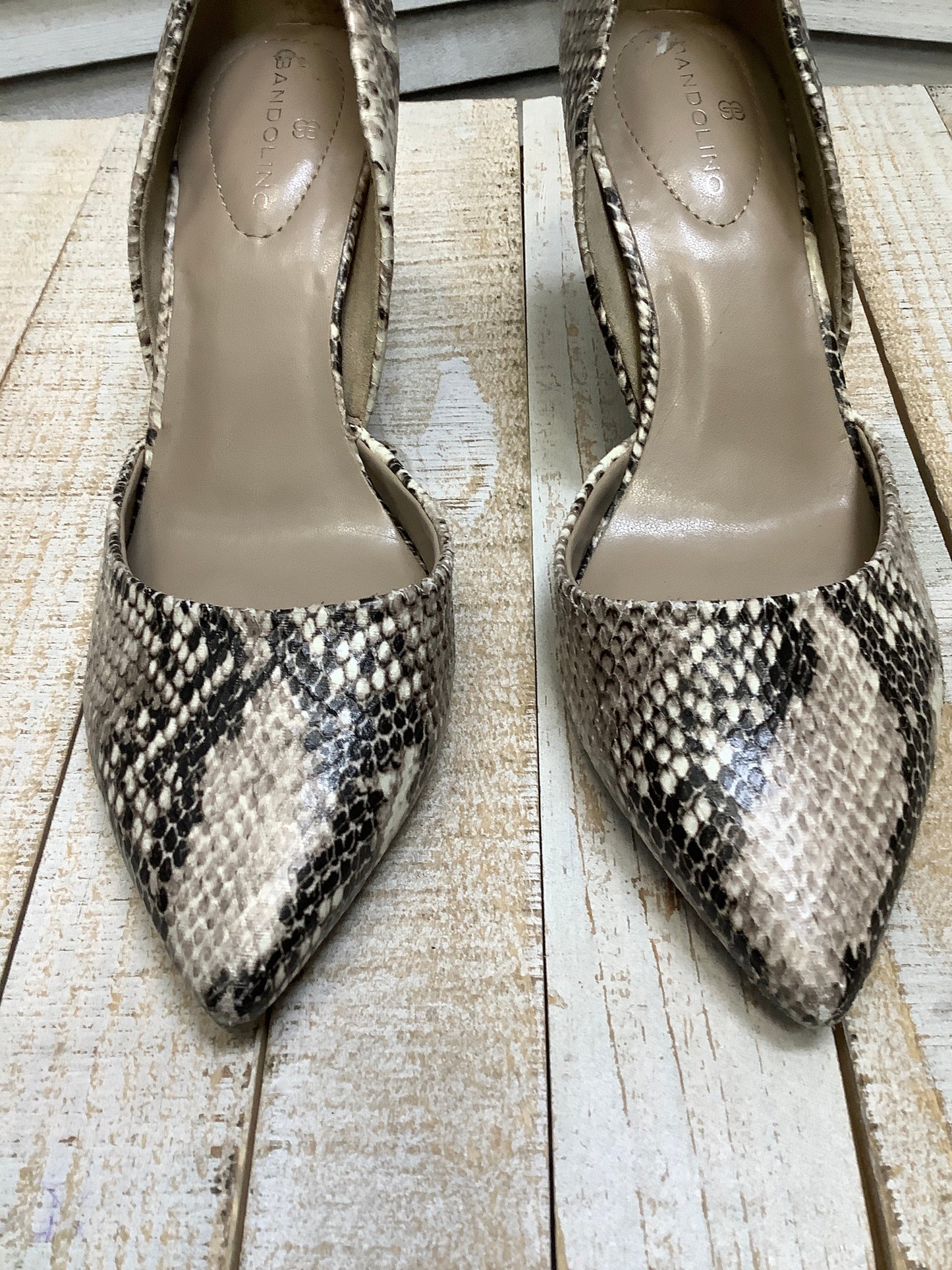 Snakeskin Print Shoes Heels Stiletto Bandolino, Size 6.5