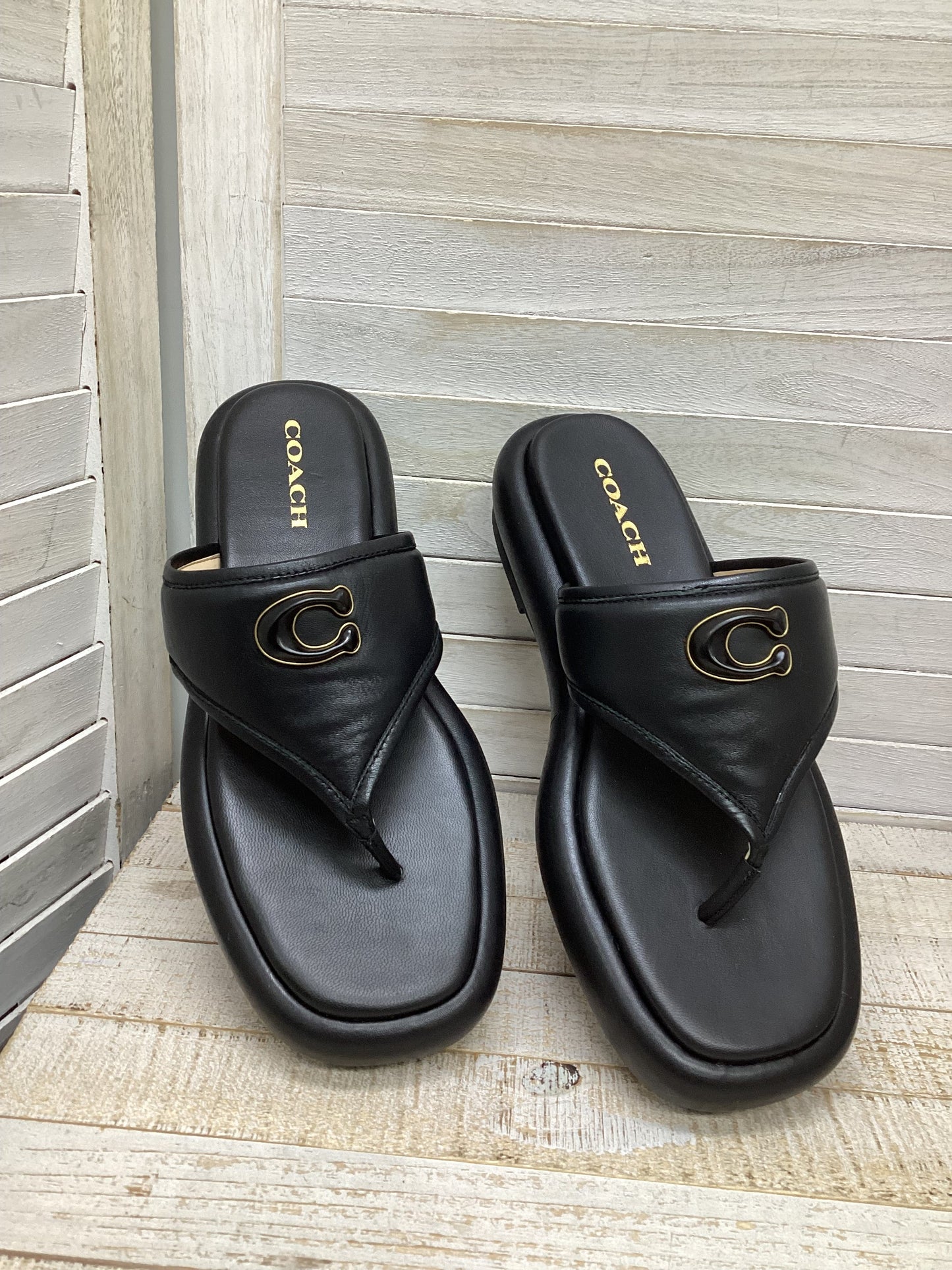 Sandals Designer By Coach In Black, Size: 10