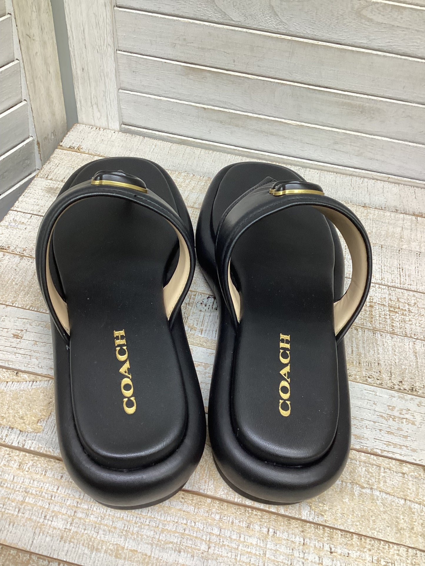 Sandals Designer By Coach In Black, Size: 10