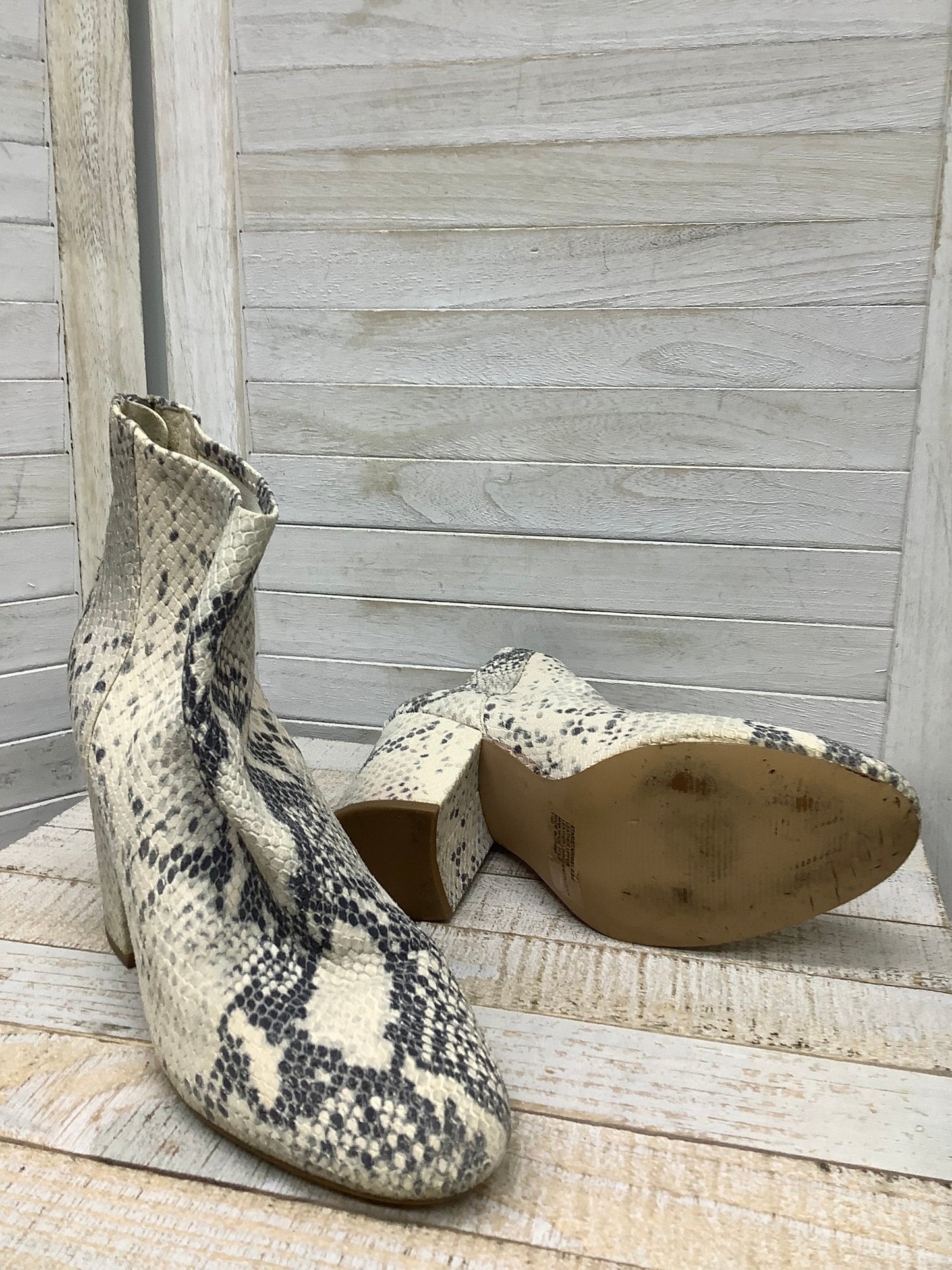 Boots Ankle Heels By Steve Madden In Snakeskin Print, Size: 8.5