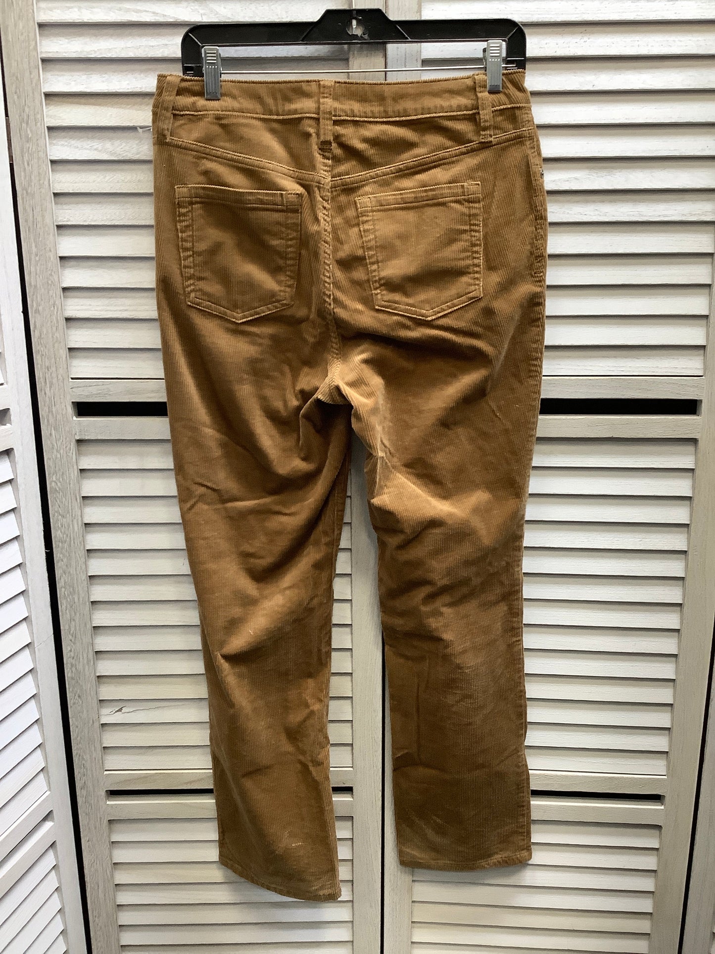 Pants Corduroy By Style And Company In Brown, Size: 6