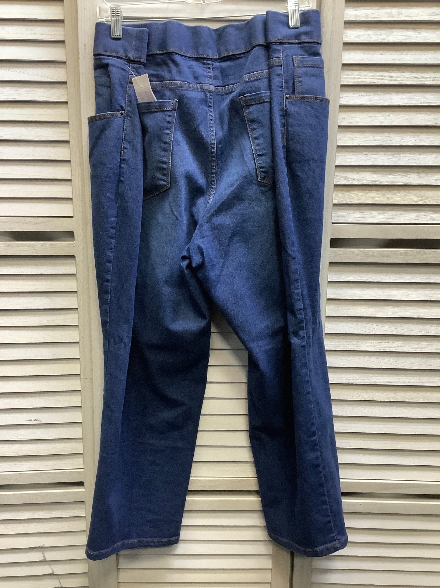 Blue Denim Jeans Skinny Terra & Sky, Size 2x