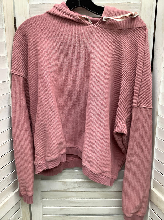 Sweatshirt Hoodie By Aerie  Size: L