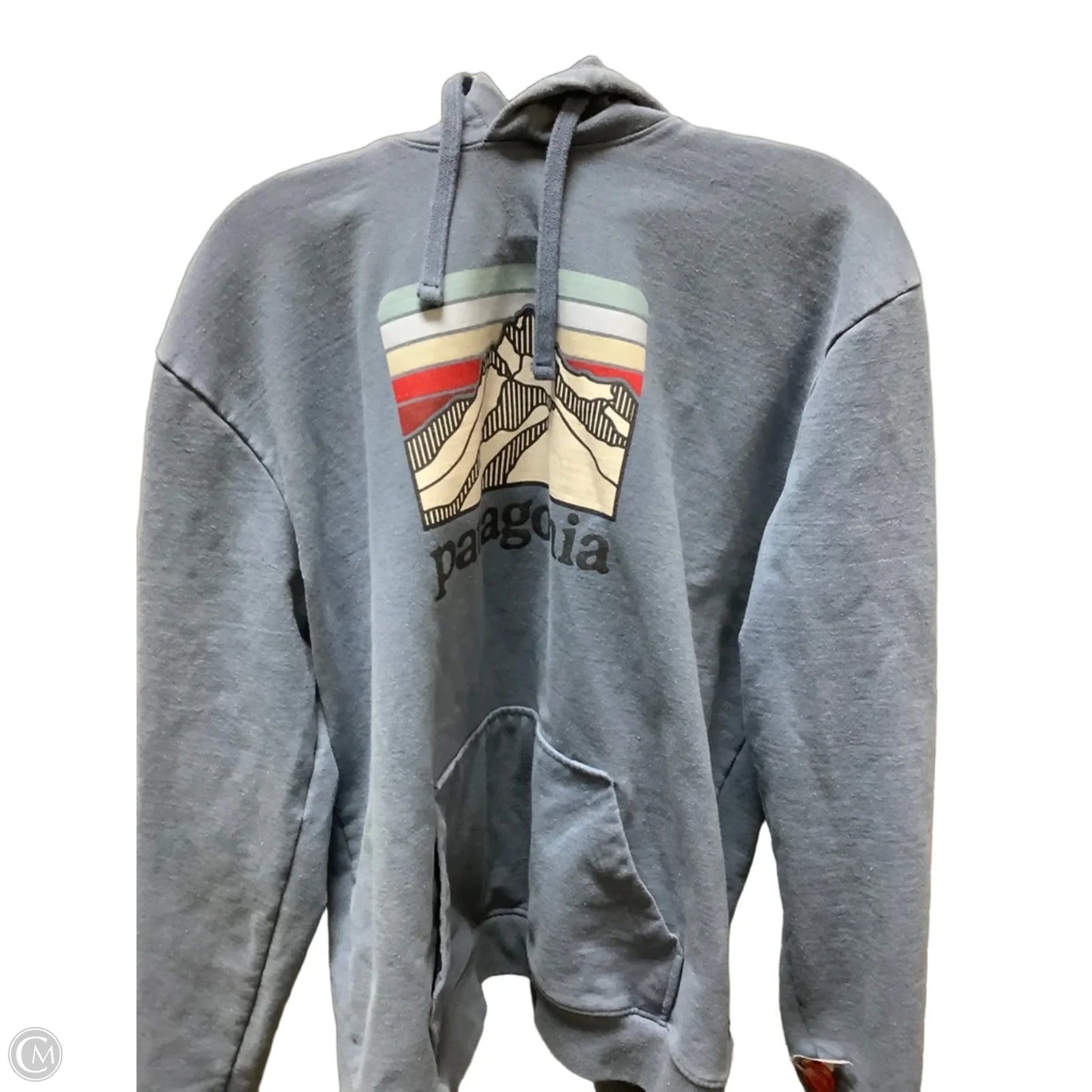 Sweatshirt Hoodie By Patagonia In Blue, Size: Xl