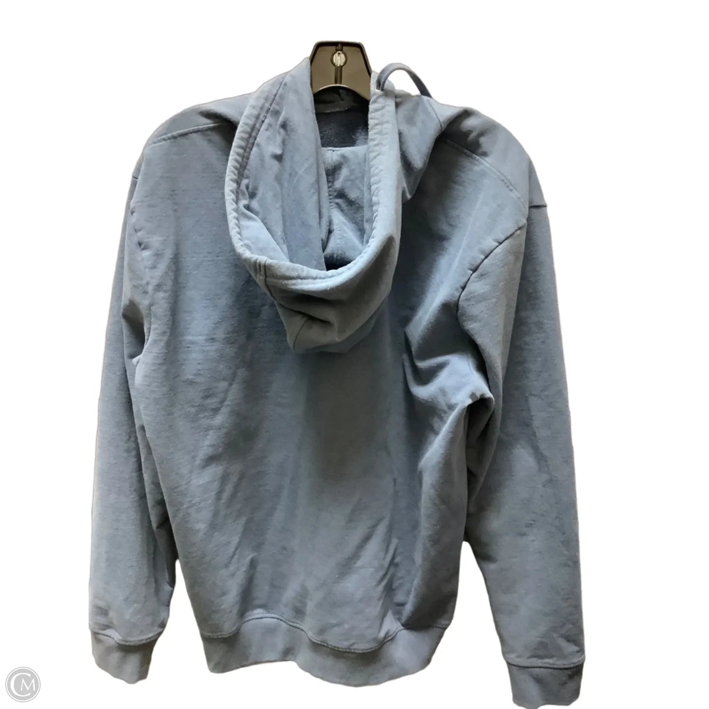 Sweatshirt Hoodie By Patagonia In Blue, Size: Xl
