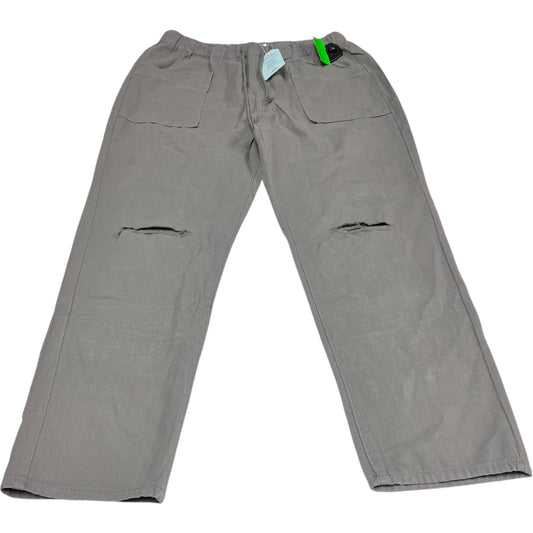 Pants Cargo & Utility By Clothes Mentor In Grey, Size: L