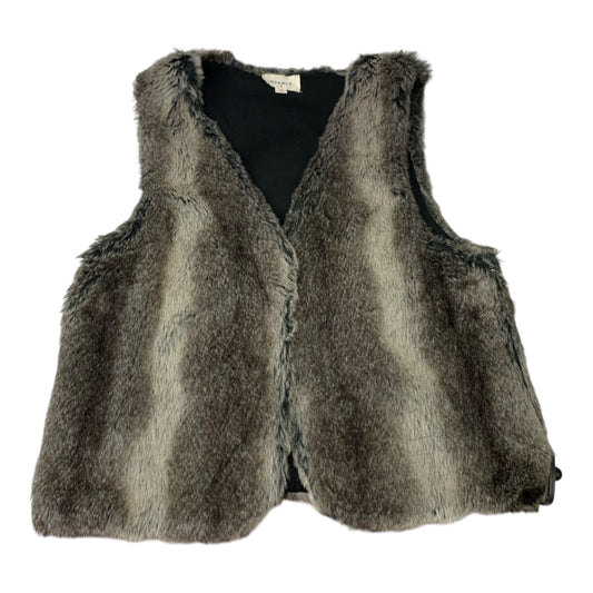 Vest Faux Fur & Sherpa By Everly In Brown, Size: S