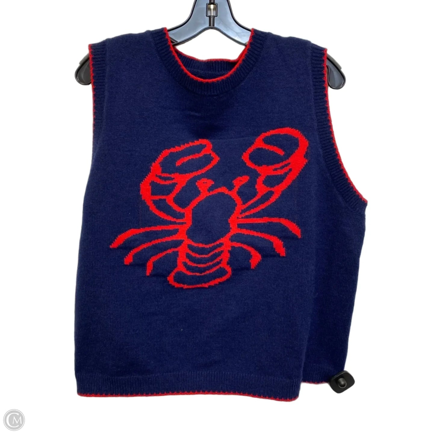 Vest Sweater By Clothes Mentor In Blue, Size: M