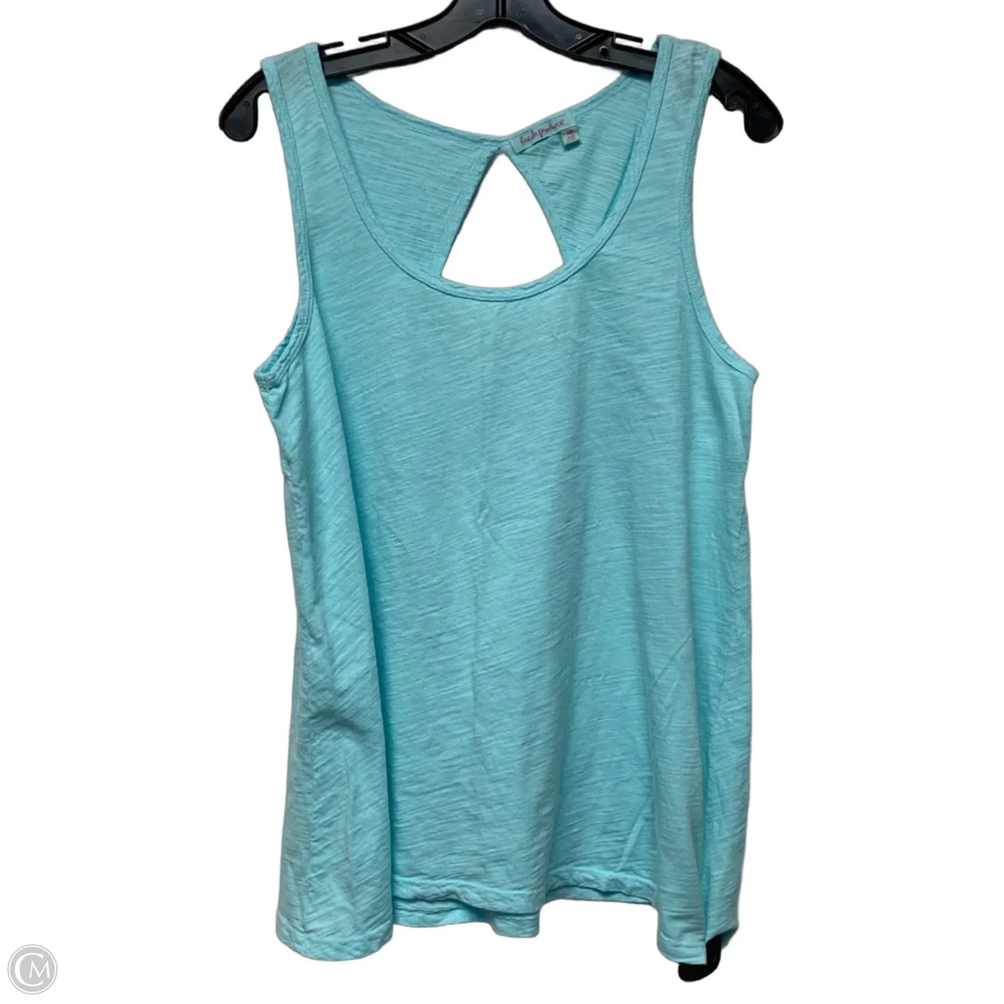 Top Sleeveless By Fresh Produce In Teal, Size: M