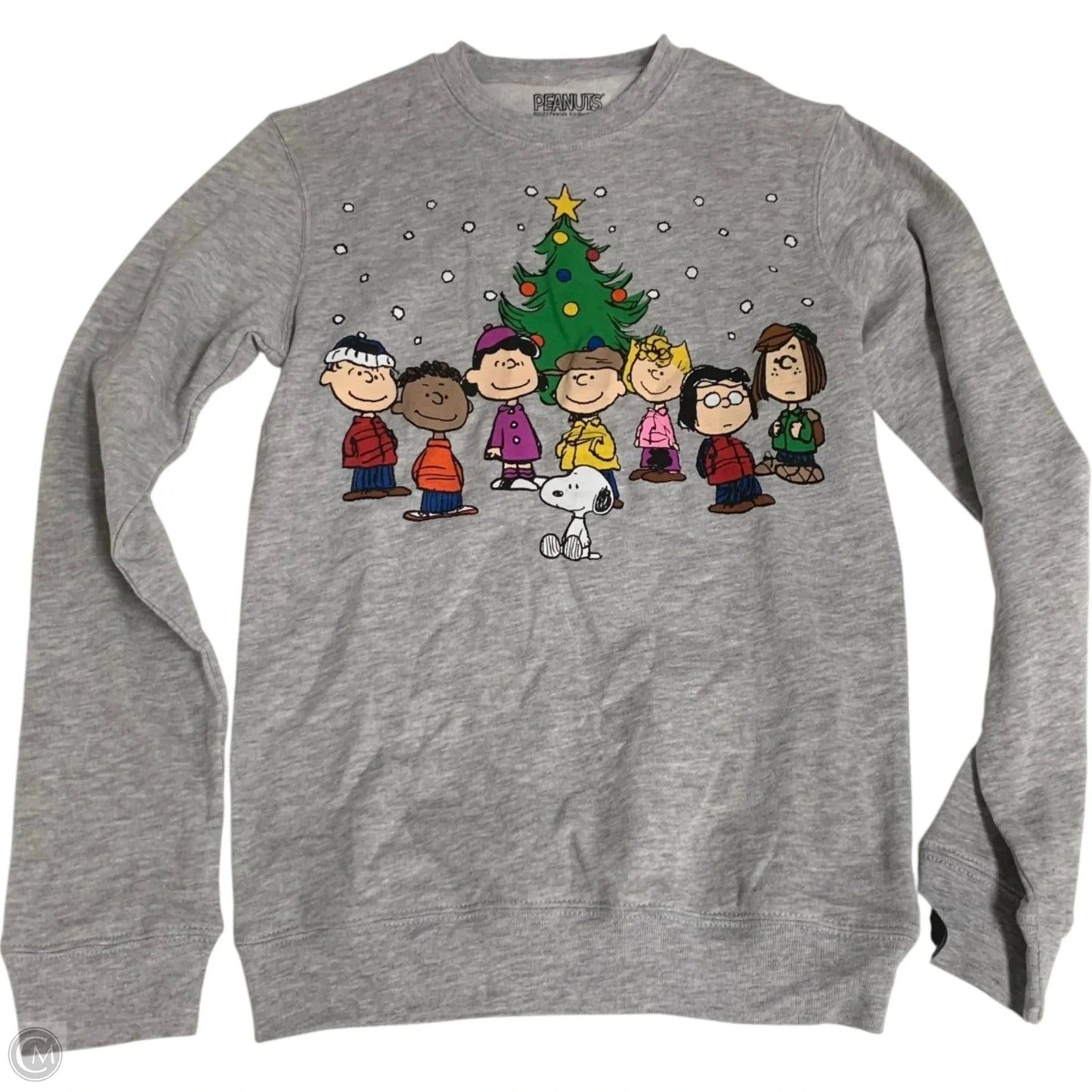 Sweatshirt Crewneck Peanuts In Grey, Size: Xs