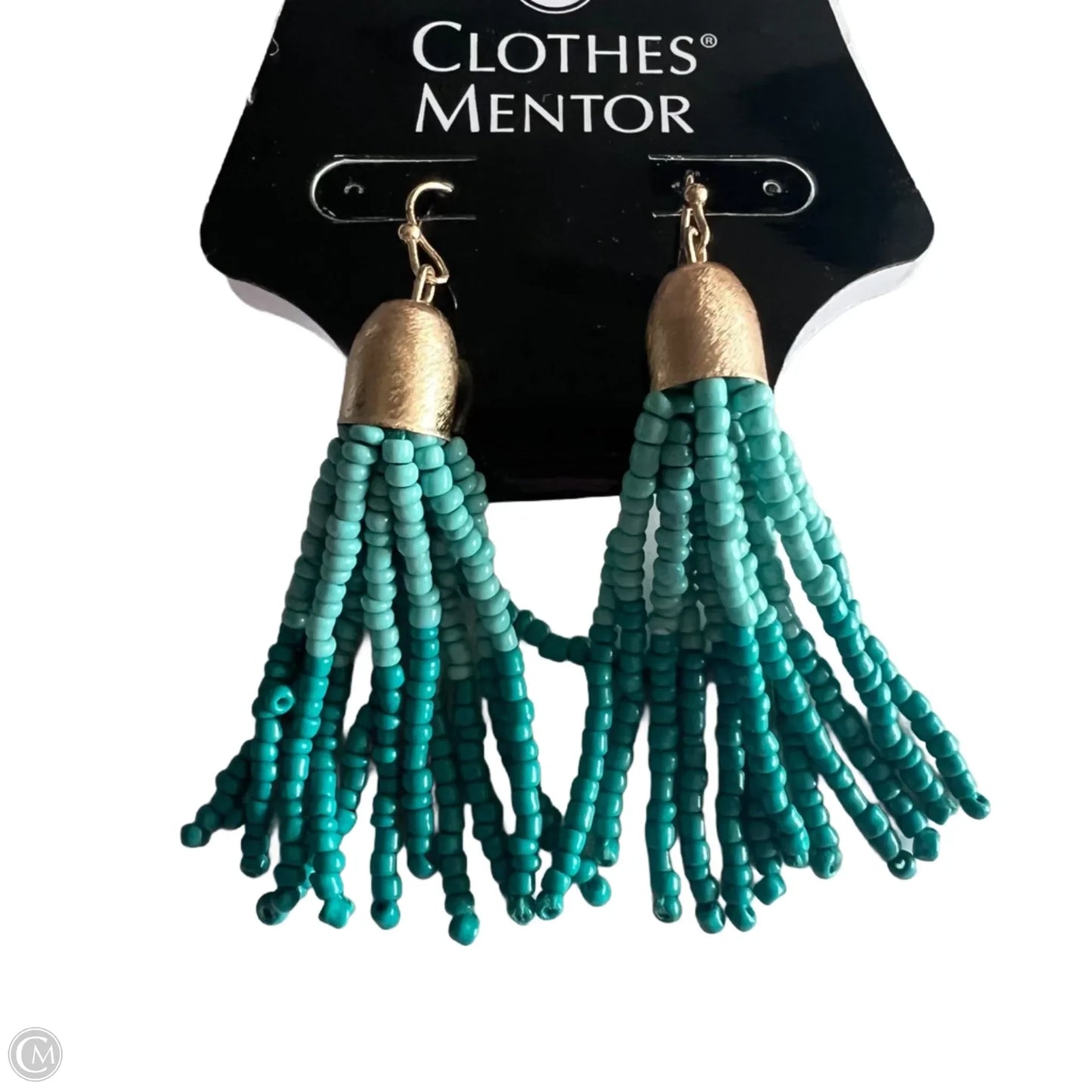 Earrings Dangle/drop By Clothes Mentor
