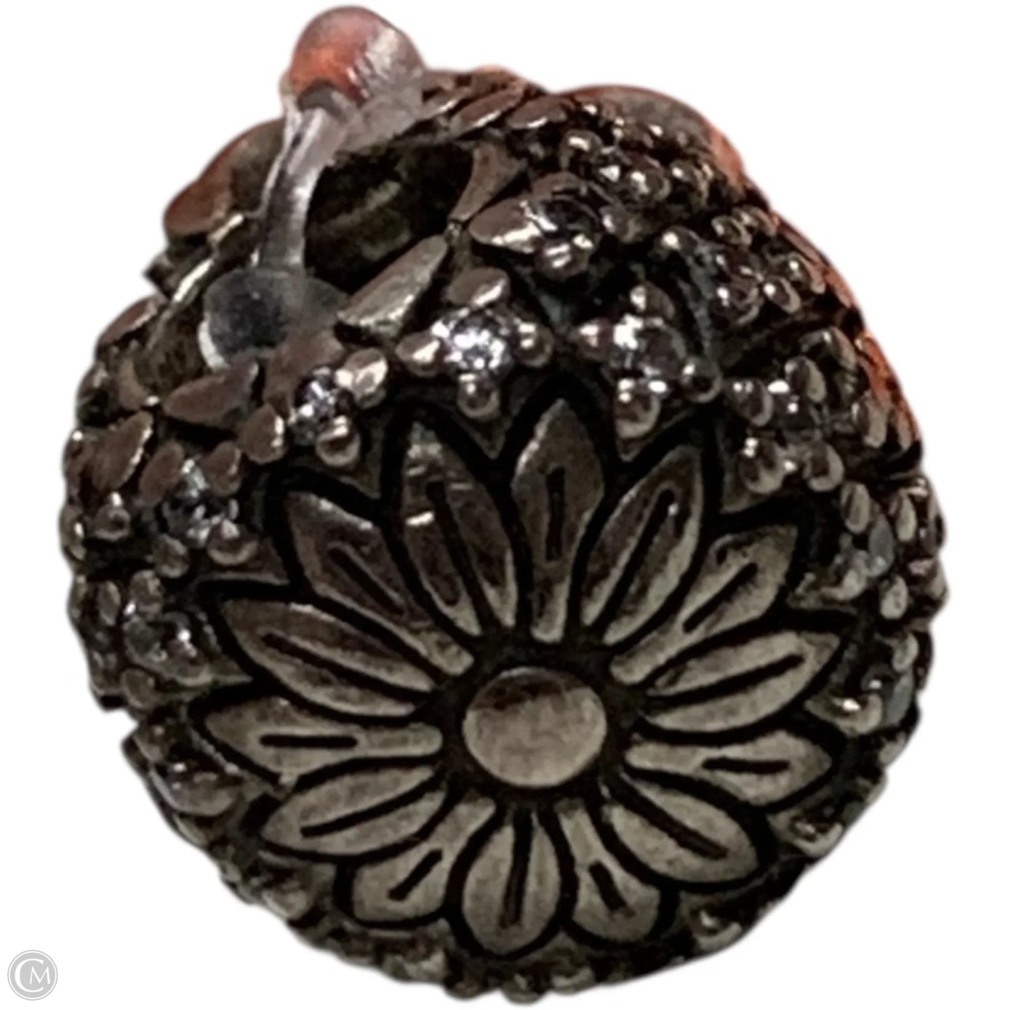 Jewelry Charm By Pandora