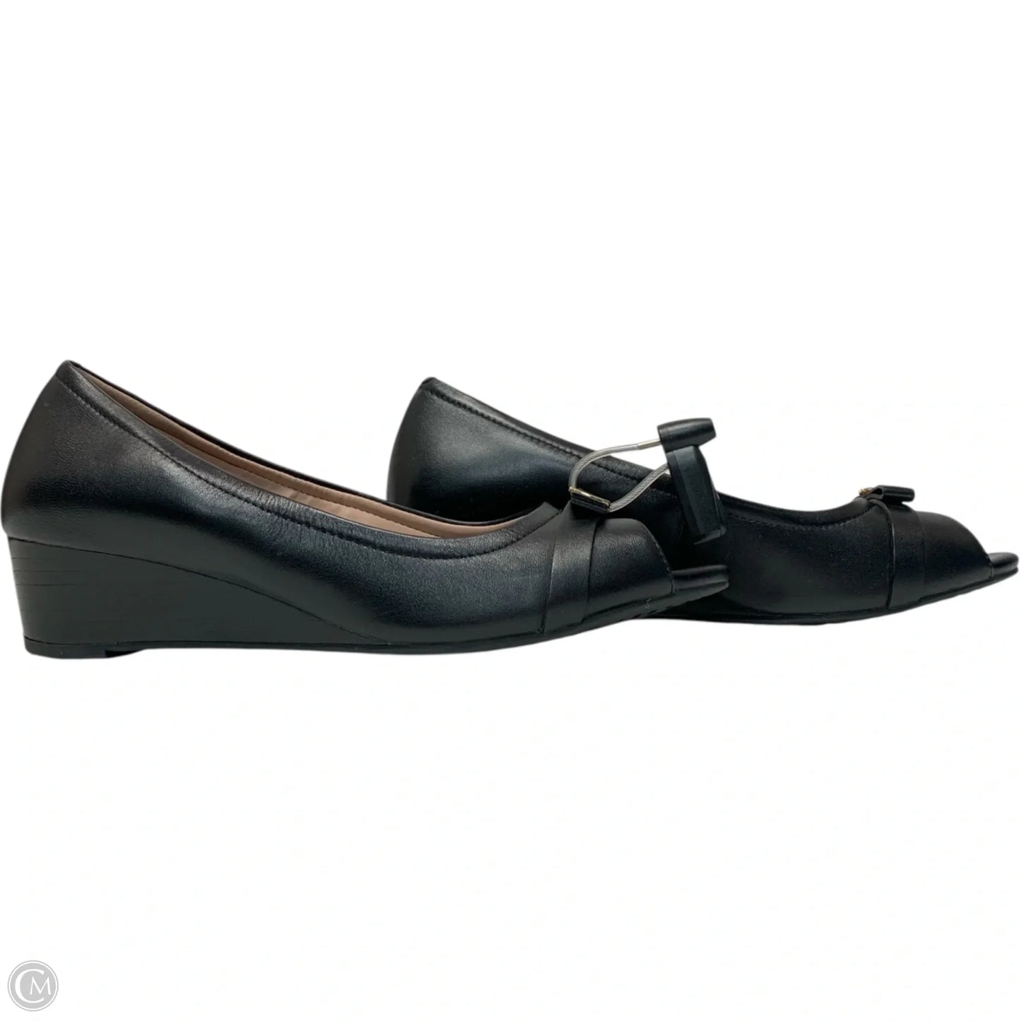 Shoes Heels Wedge By Cole-haan In Black, Size: 8