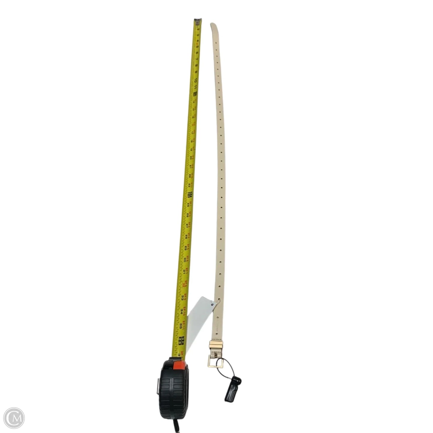 Belt Designer By All Saints, Size: Small