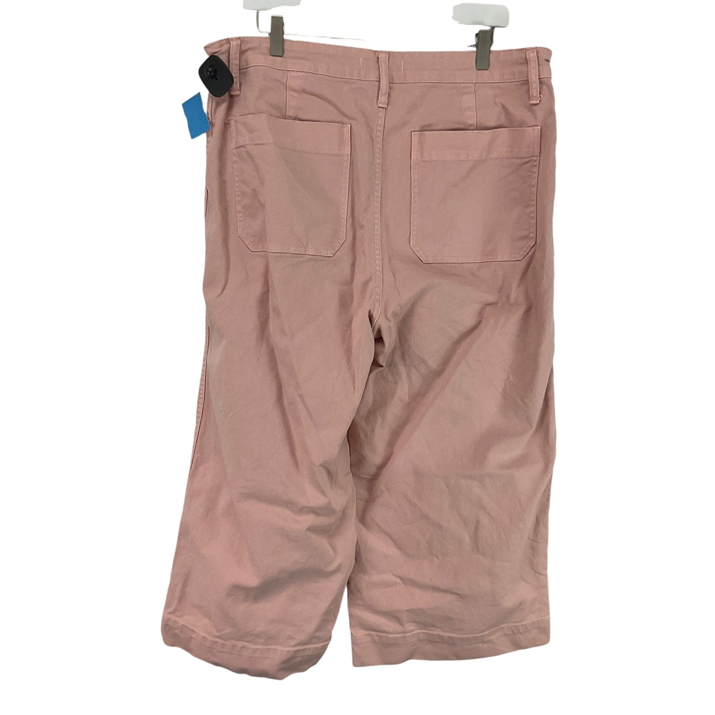 Pants Other By Madewell In Pink, Size: 3x